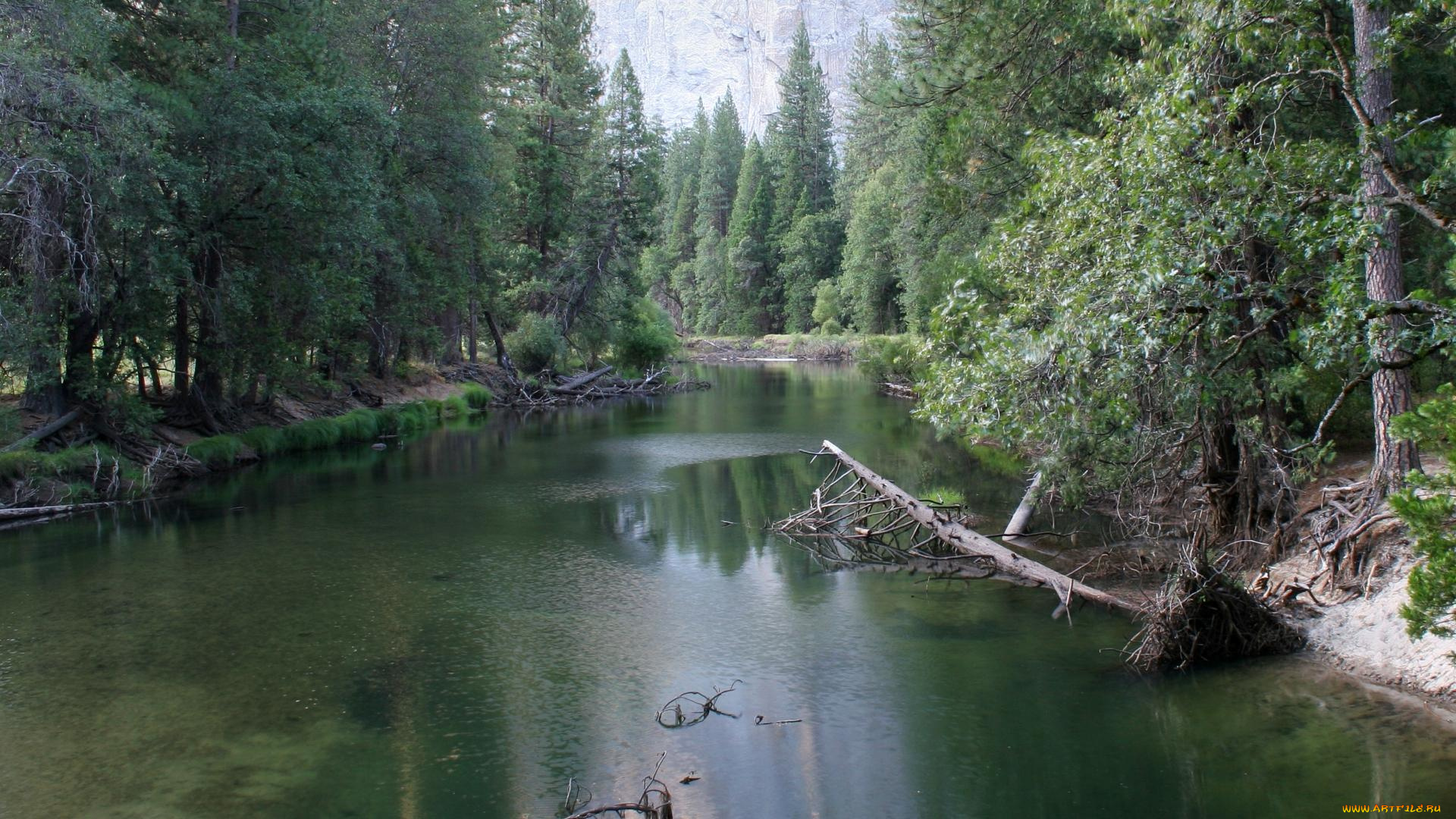 природа, реки, озера, деревья, вода