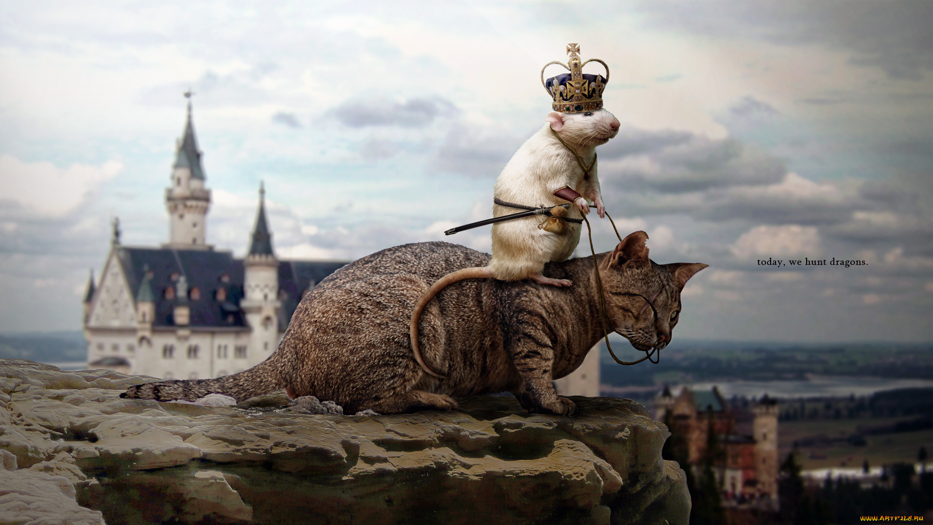 разное, компьютерный, дизайн, кот, крыса, замок