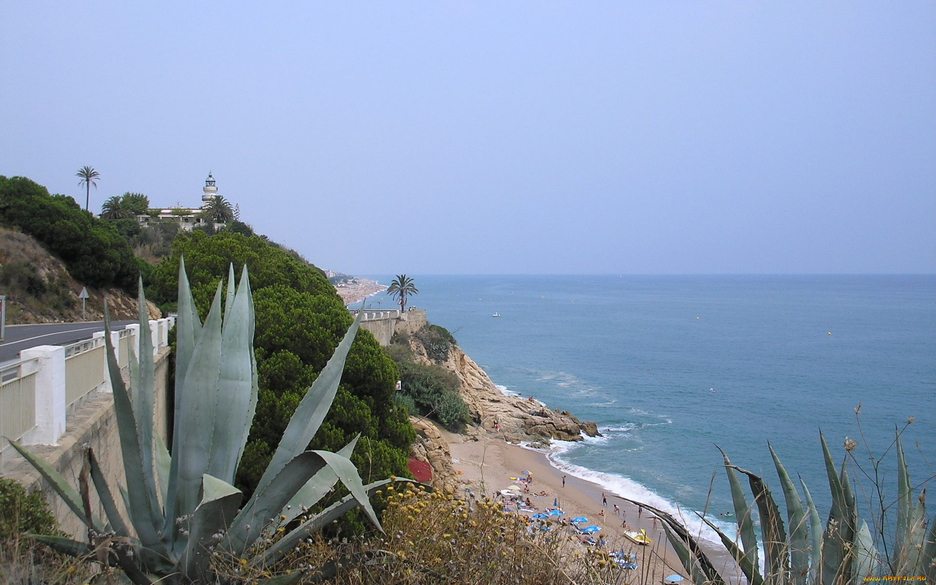 природа, побережье, море, пляж, дорога, кактусы