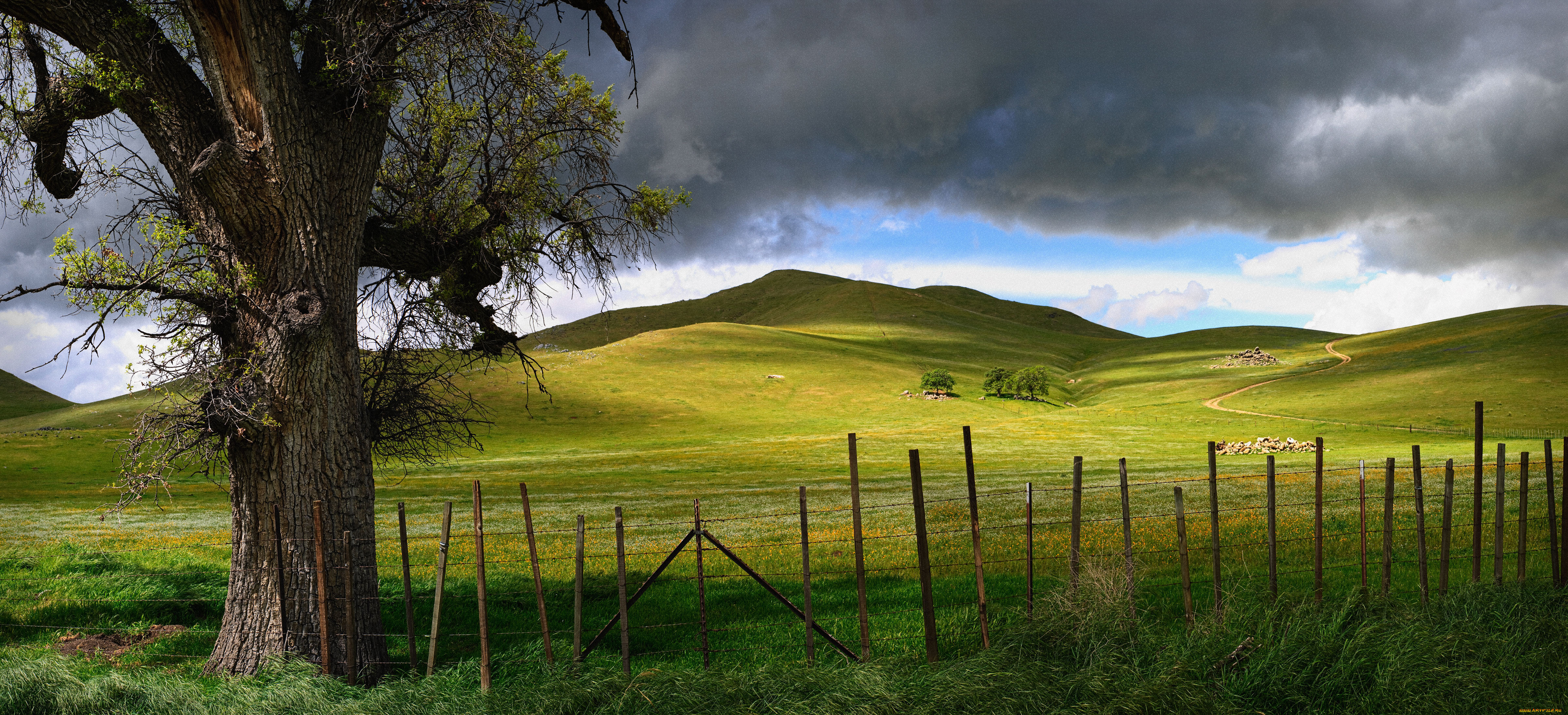 природа, деревья, забор, облака, луга, дерево, холмы, дорога