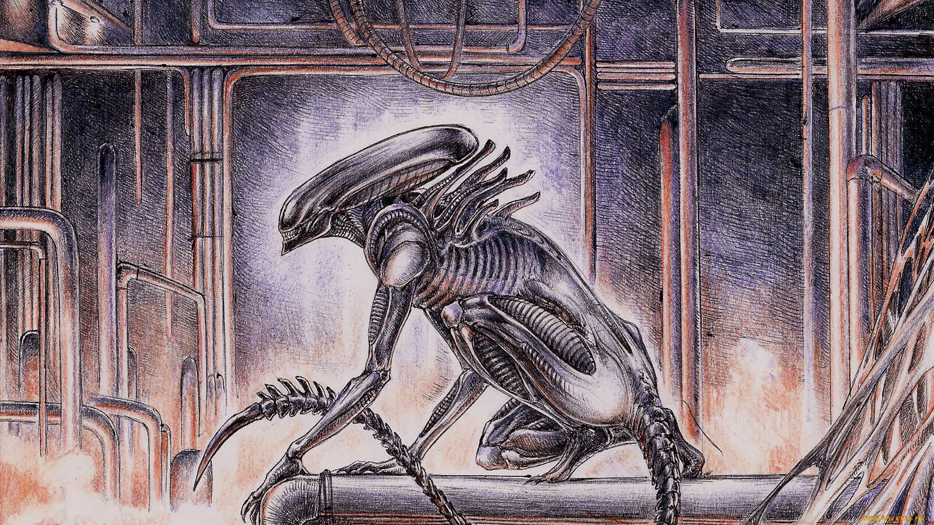 рисованные, комиксы, alien, чужой
