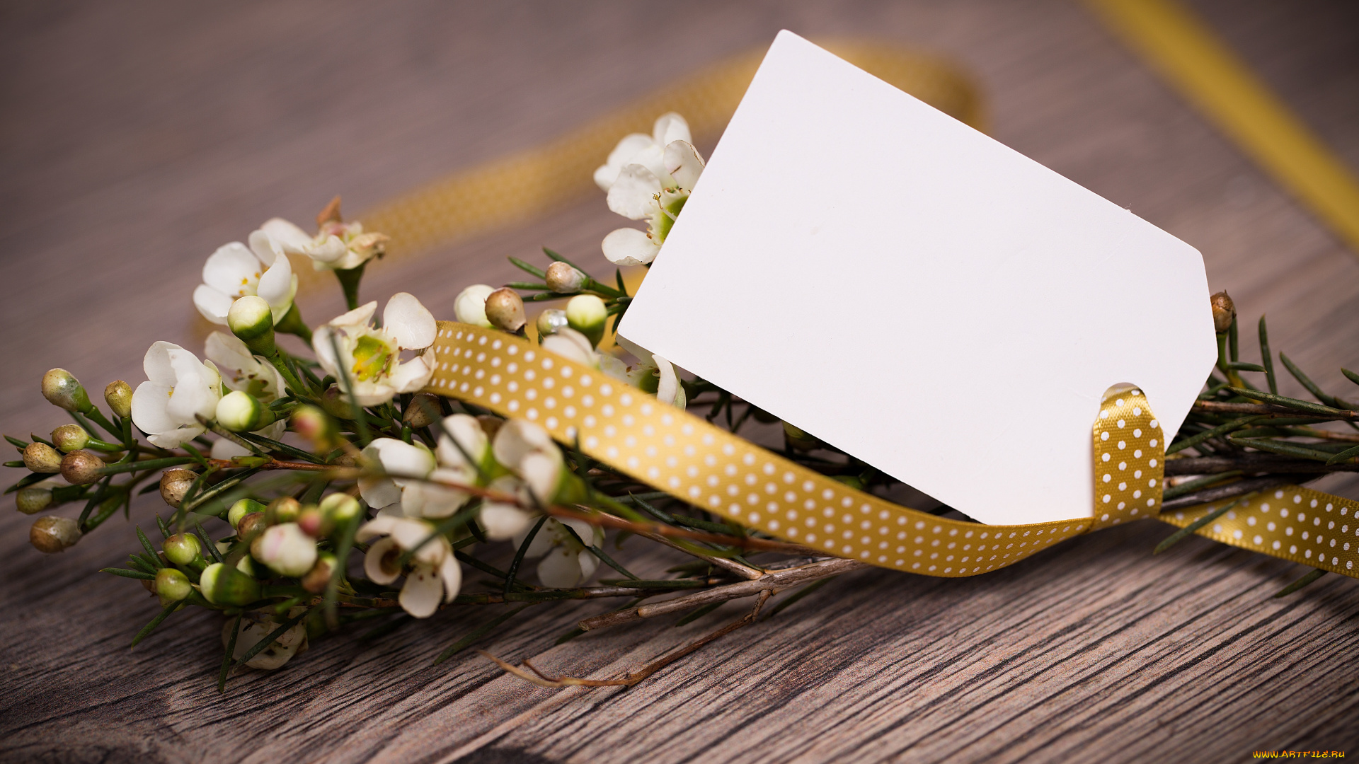 цветы, цветущие, деревья, , , кустарники, открытка