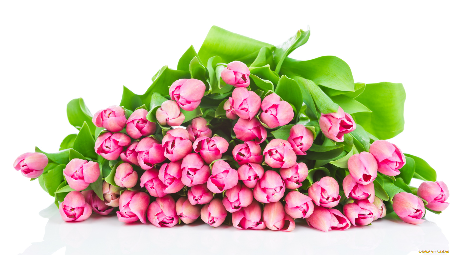 цветы, тюльпаны, букет, подарок