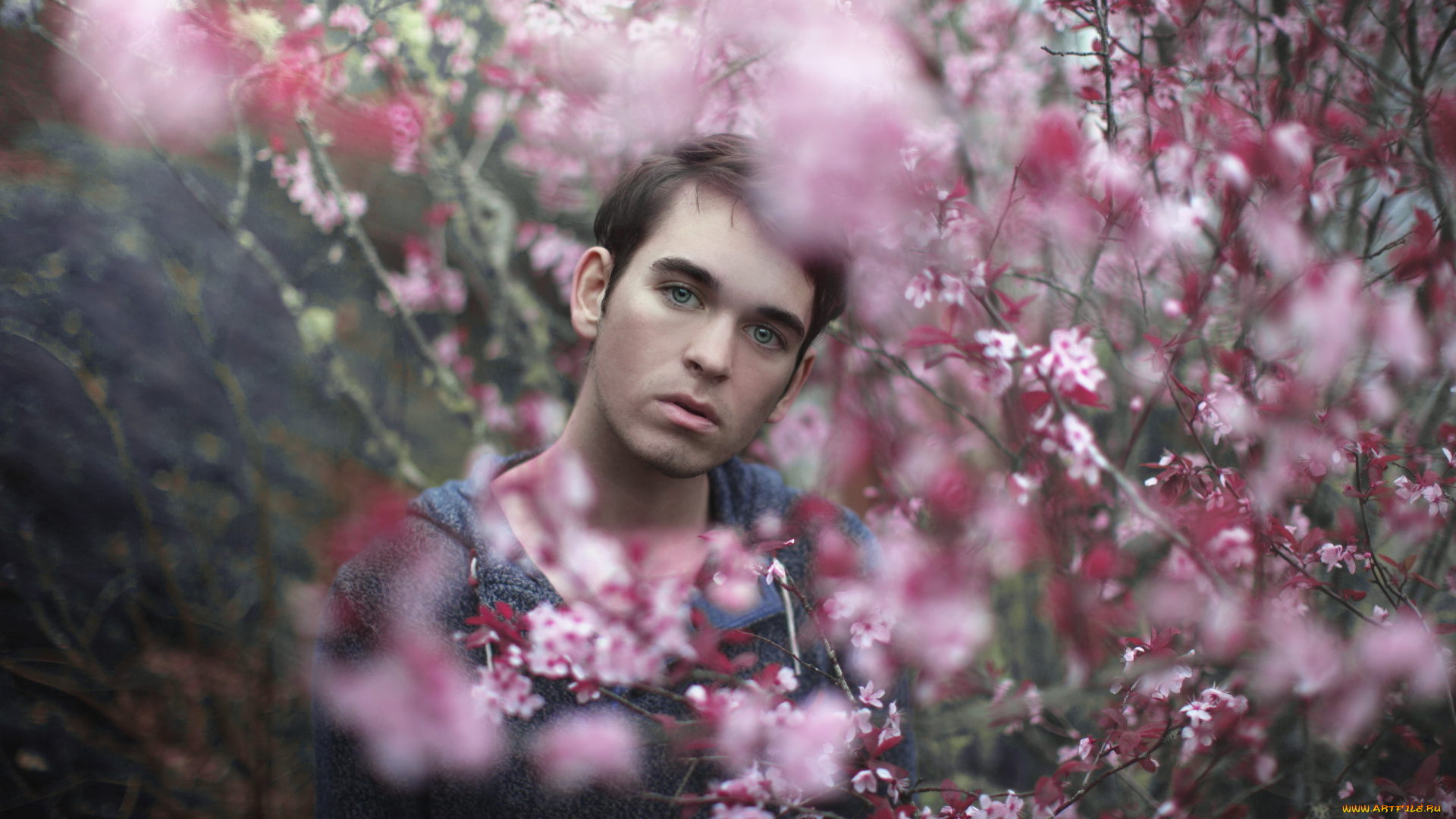 мужчины, -, unsort, сад, парень, взгляд, цветы, ветви