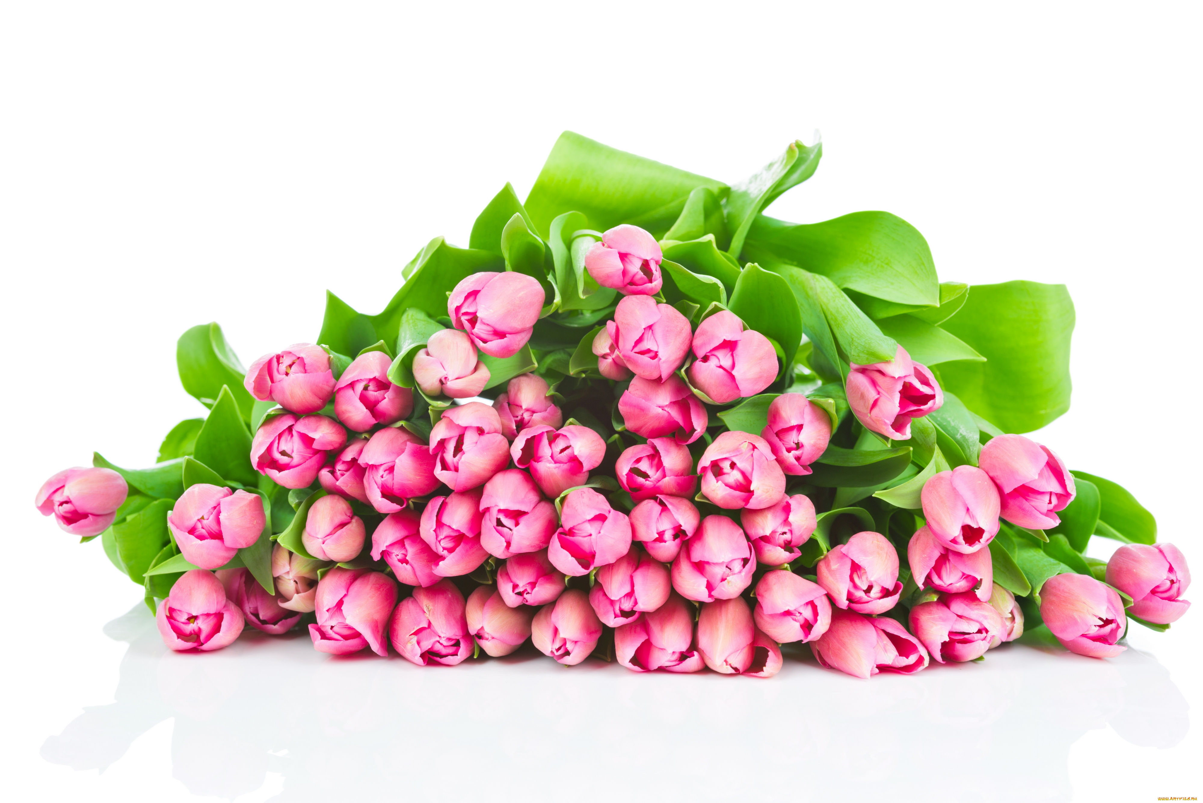 цветы, тюльпаны, букет, подарок