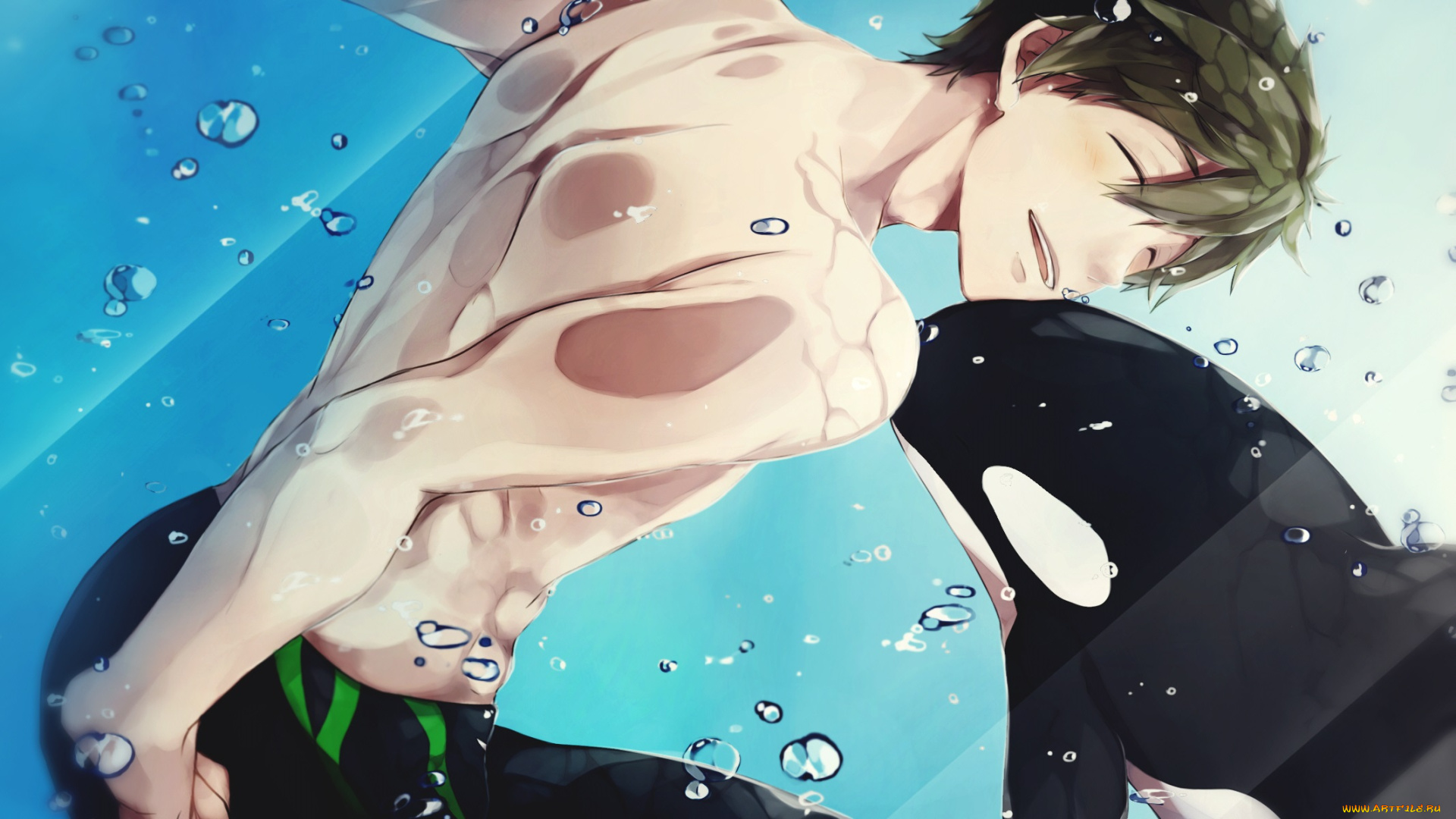 аниме, free, касатка, вода, парень
