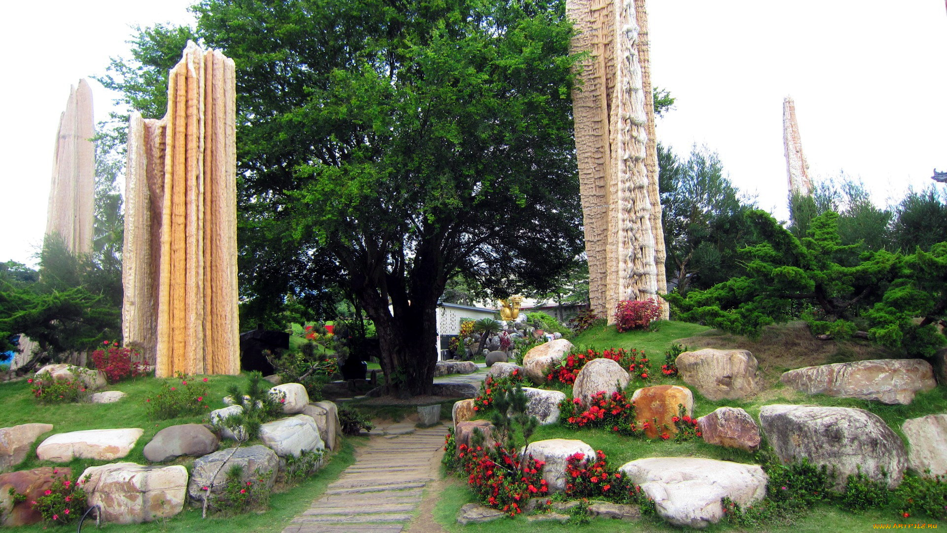 природа, парк, цветы, камни