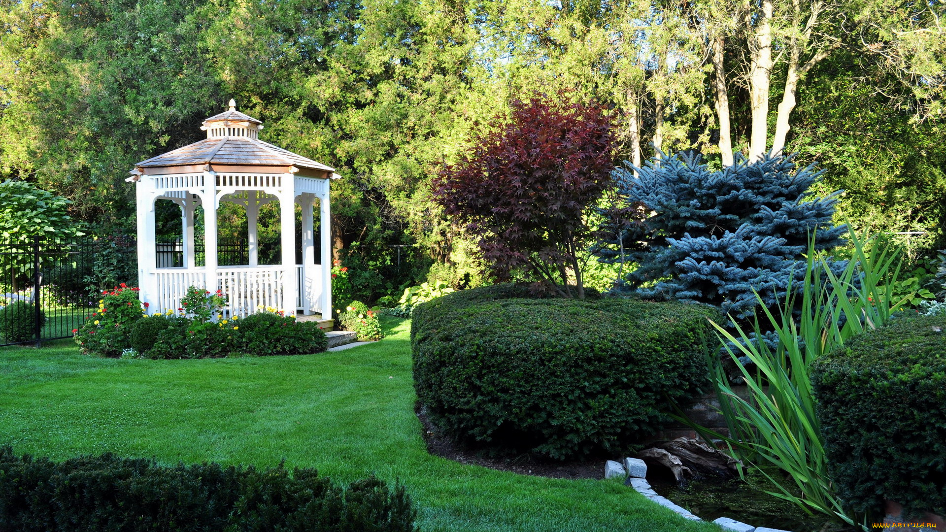 природа, парк, водоем, беседка