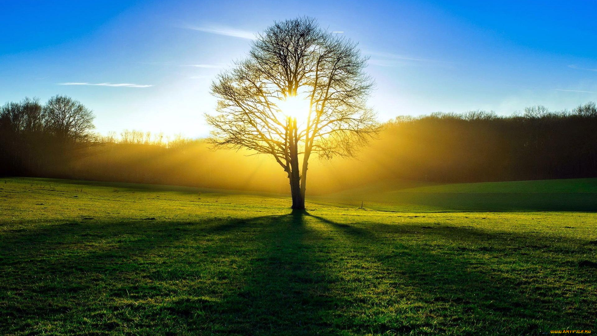 природа, восходы, закаты, дерево, рассвет, солнце, лучи, поле, небо