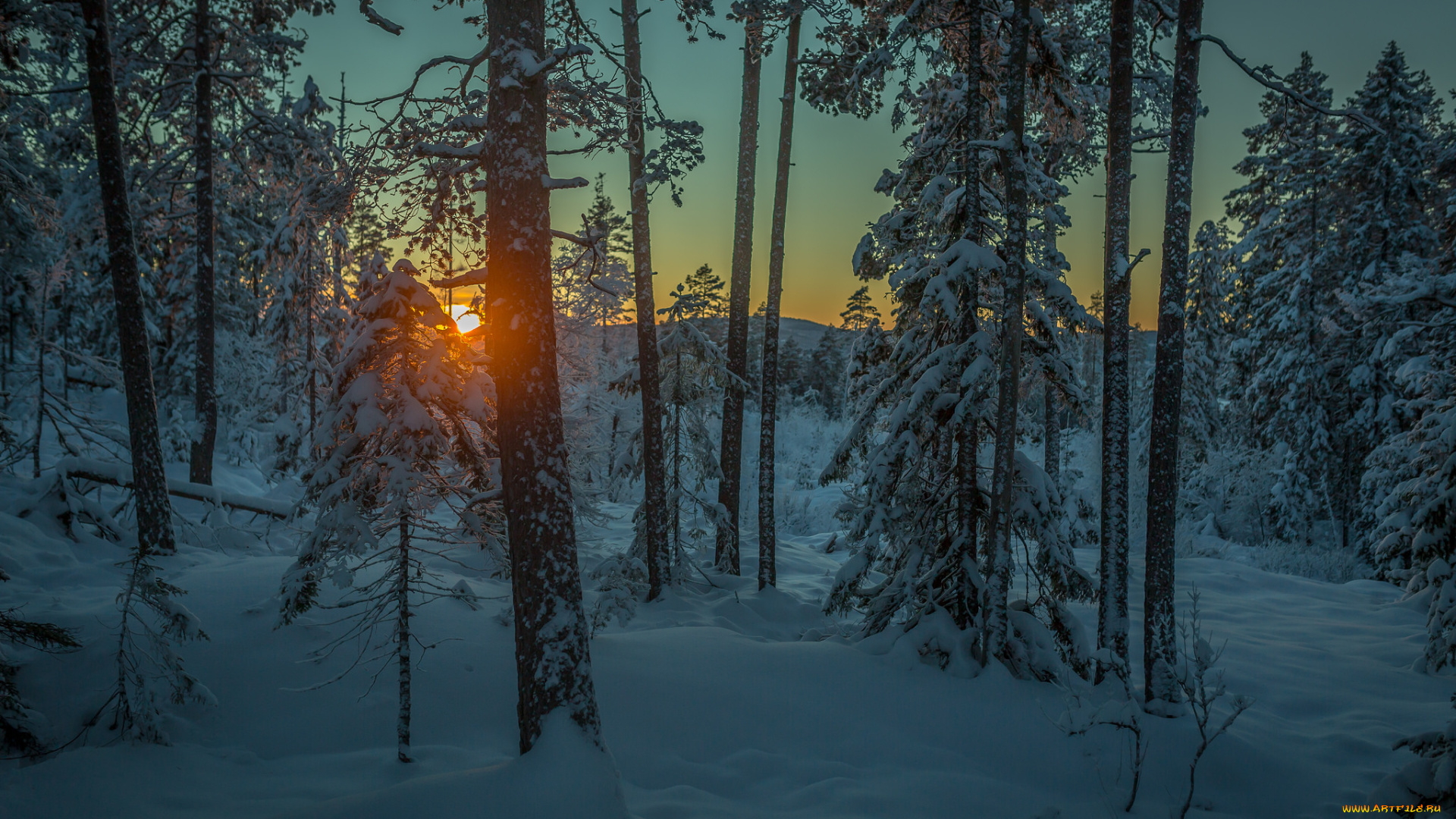 природа, зима, снег