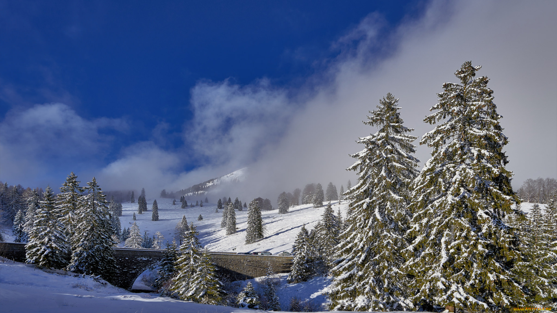 природа, зима, снег