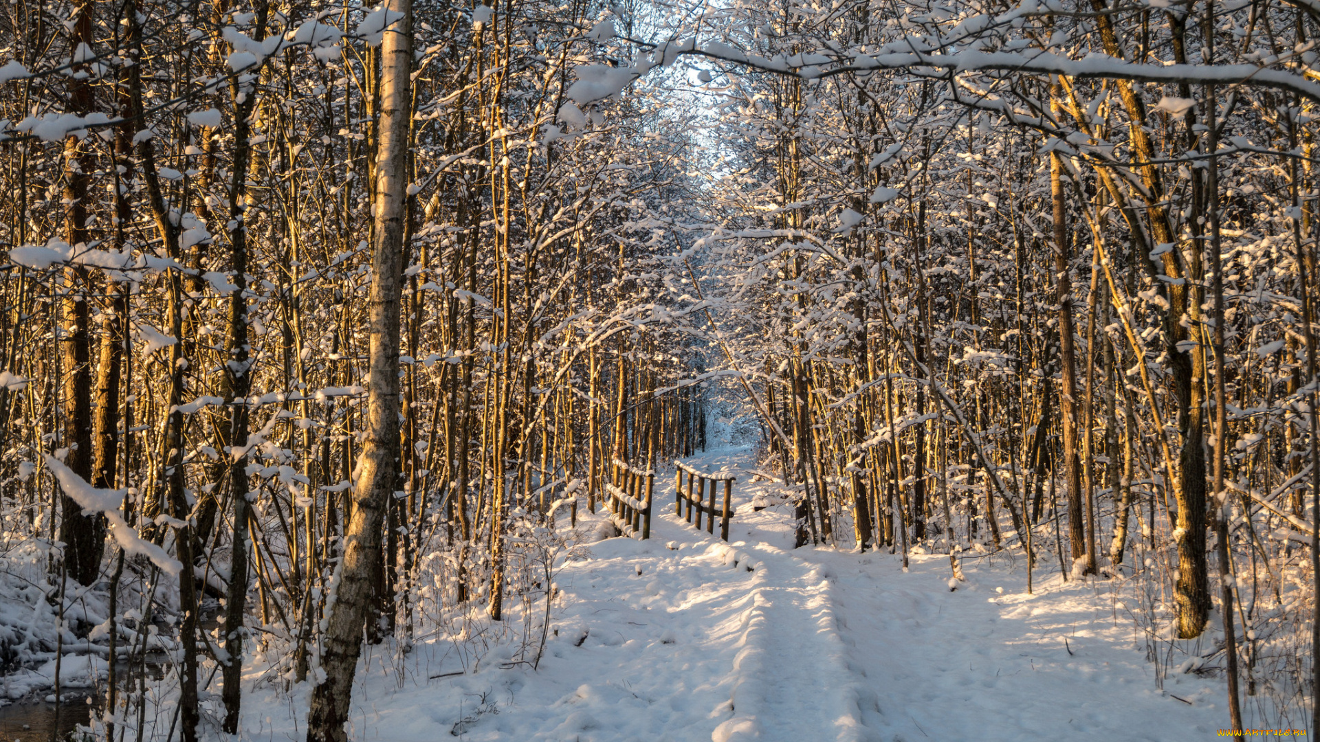 природа, зима, снег