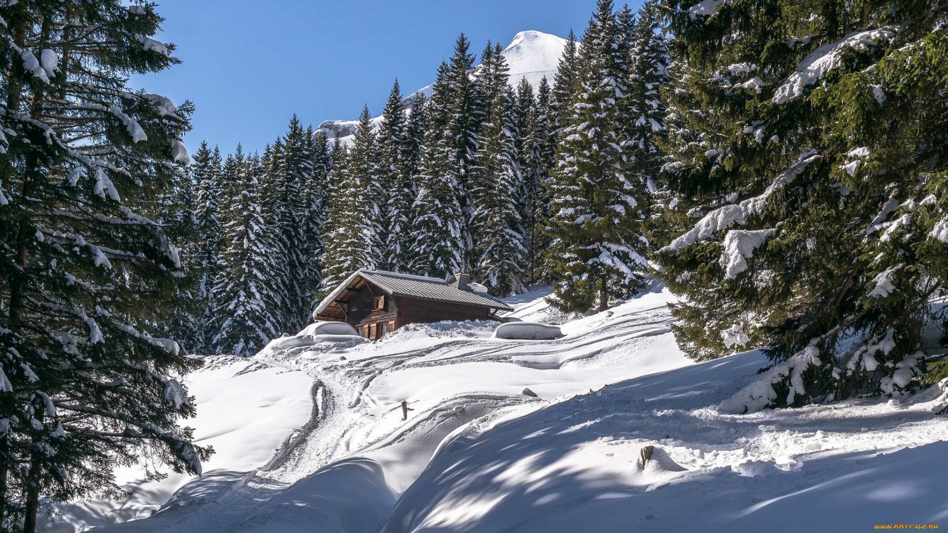 природа, зима, снег