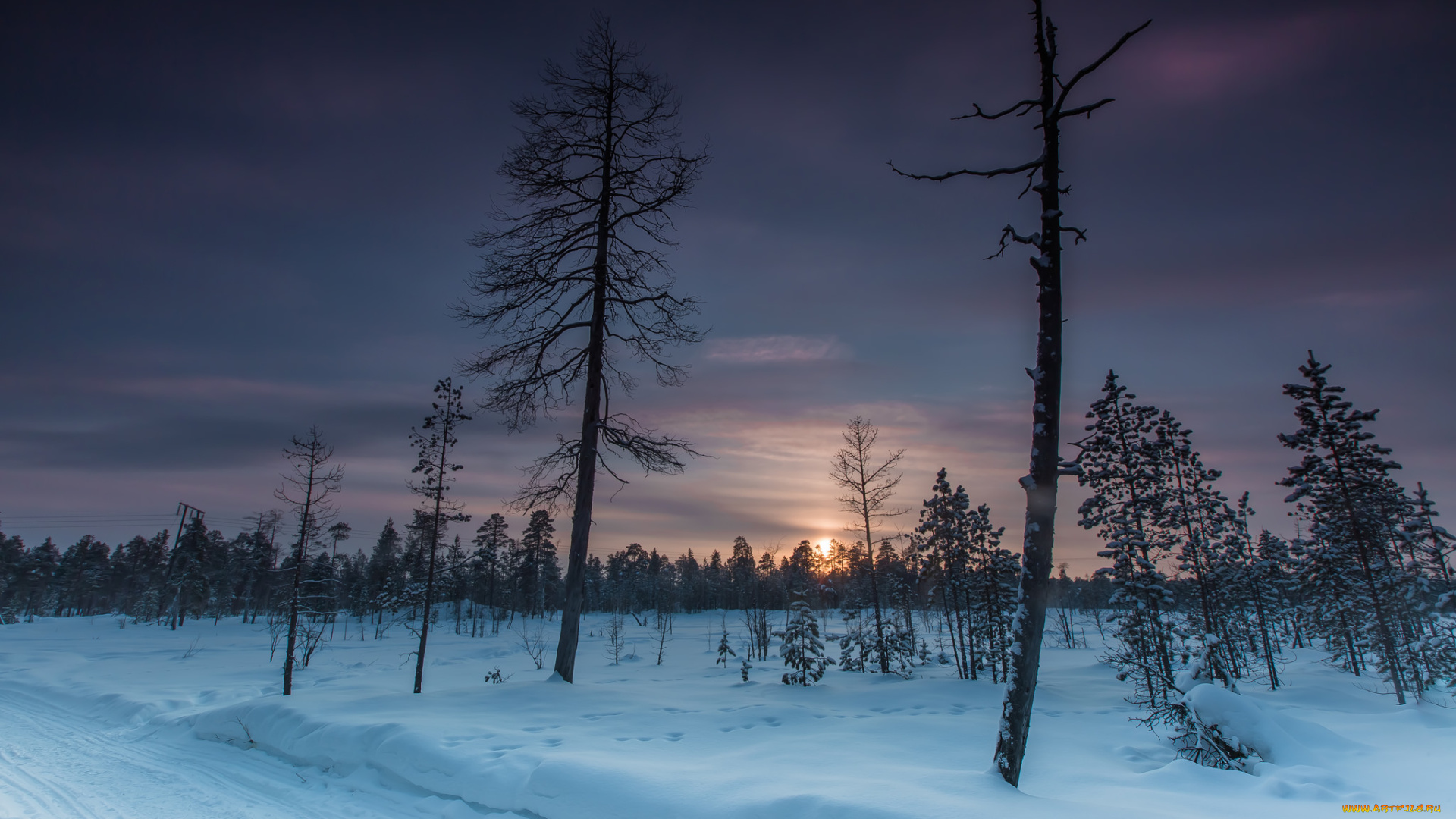 природа, зима, снег