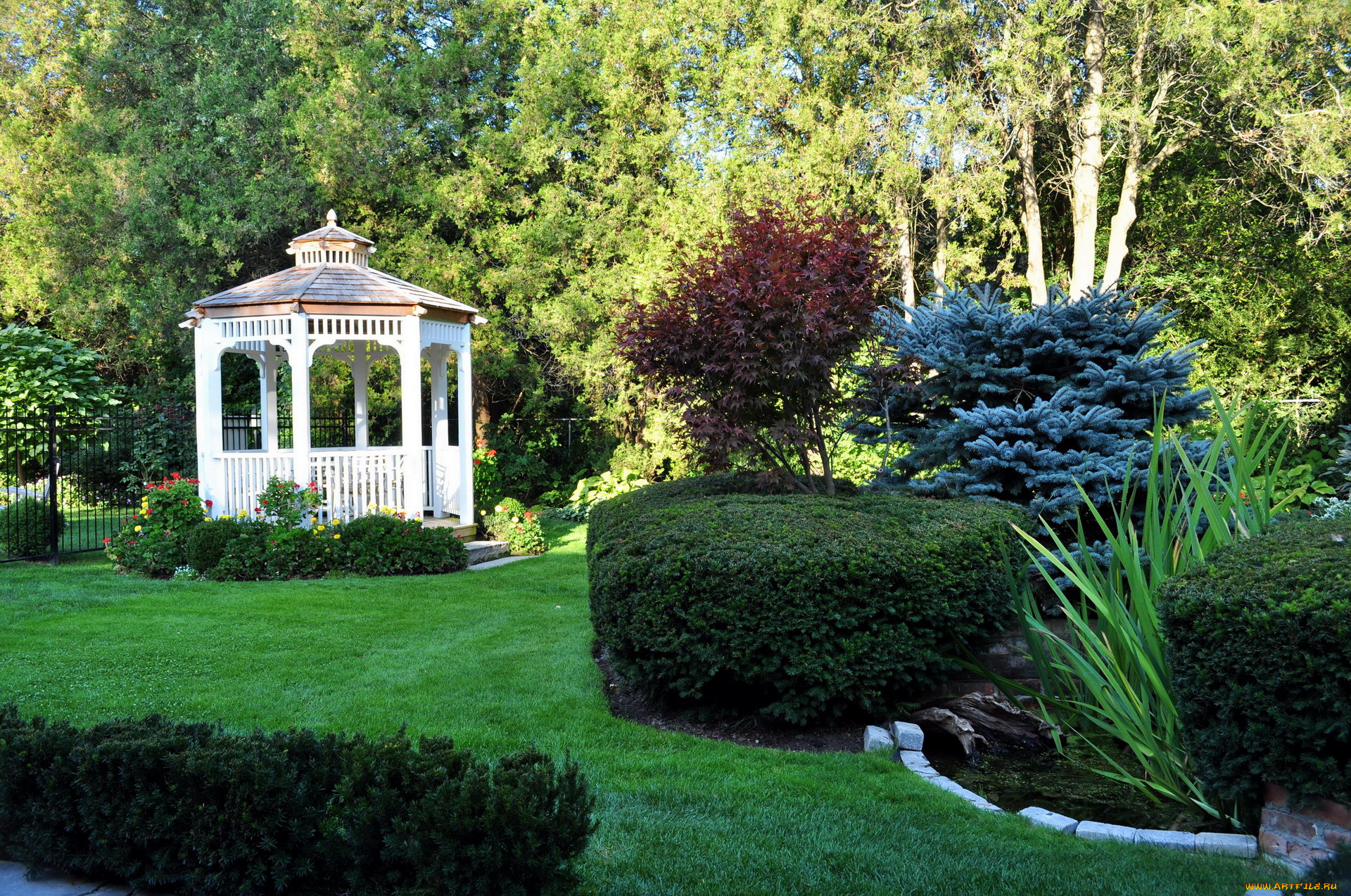 природа, парк, водоем, беседка