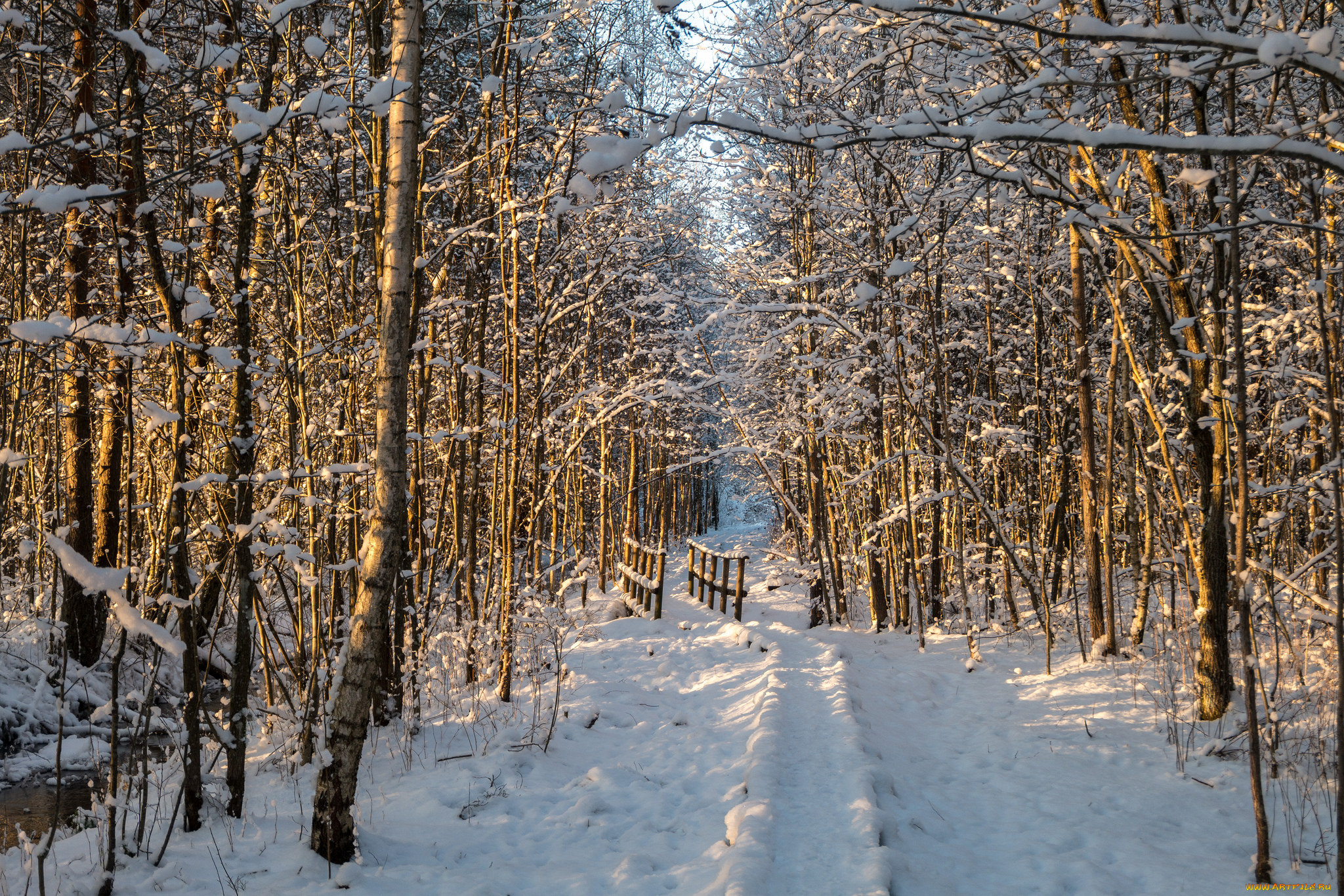 природа, зима, снег