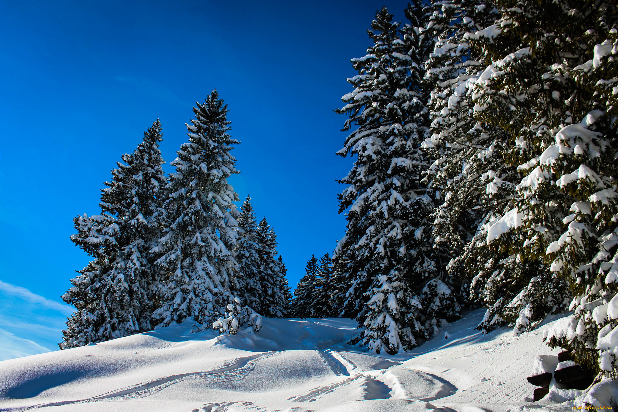 природа, зима, снег