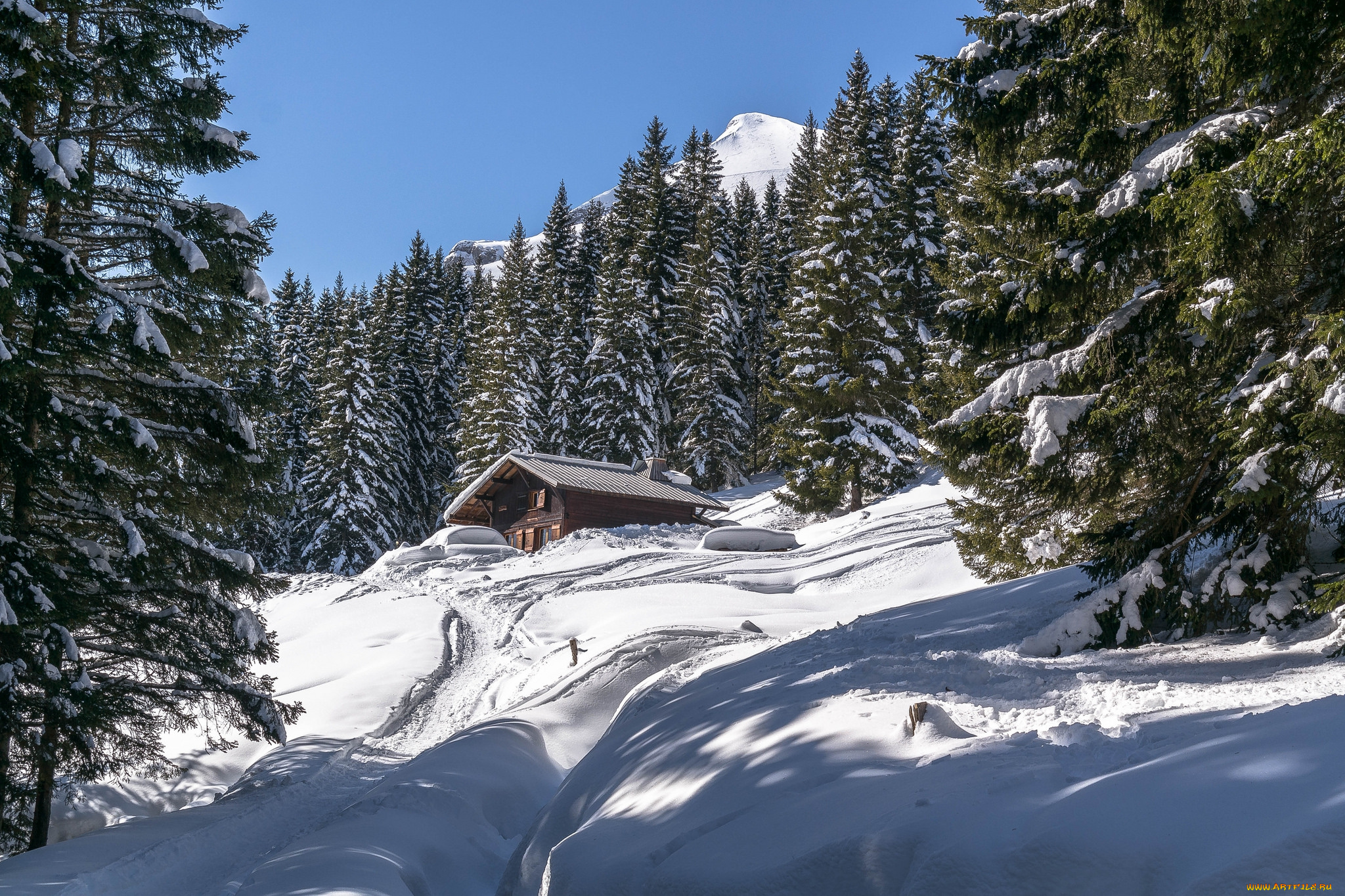 природа, зима, снег