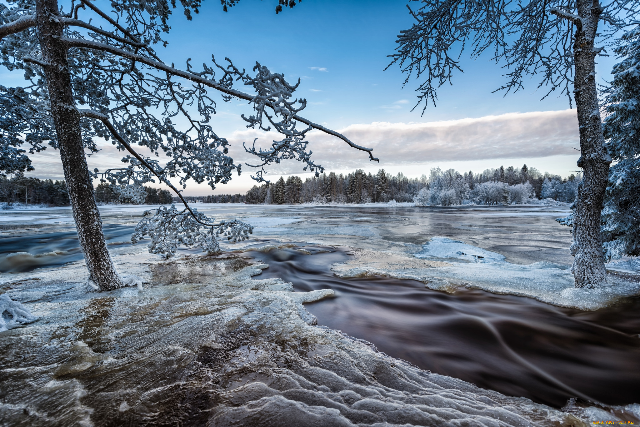 природа, зима, снег