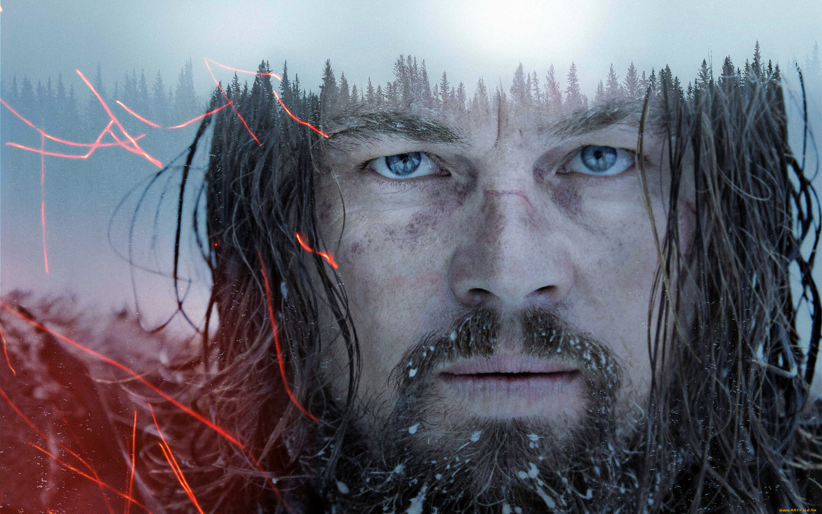 the, revenant, кино, фильмы, leonardo, dicaprio