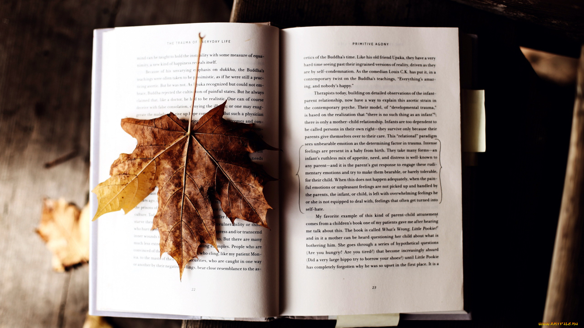 разное, канцелярия, , книги, лист, книга