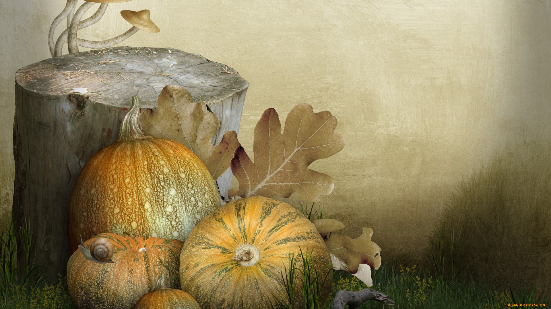 разное, компьютерный, дизайн, грибы, пень, улитки, тыквы