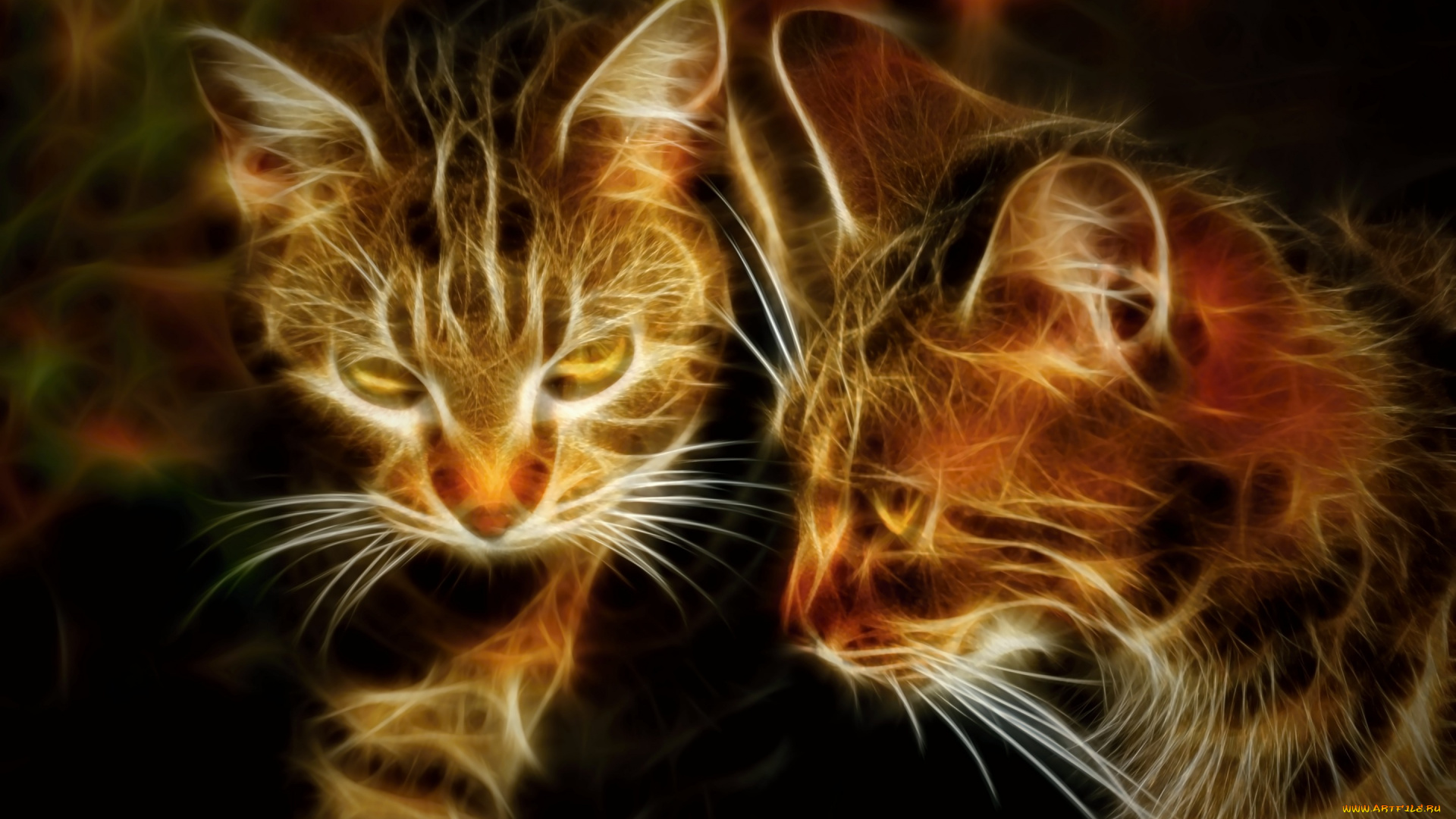 разное, компьютерный, дизайн, кошки, ретушь