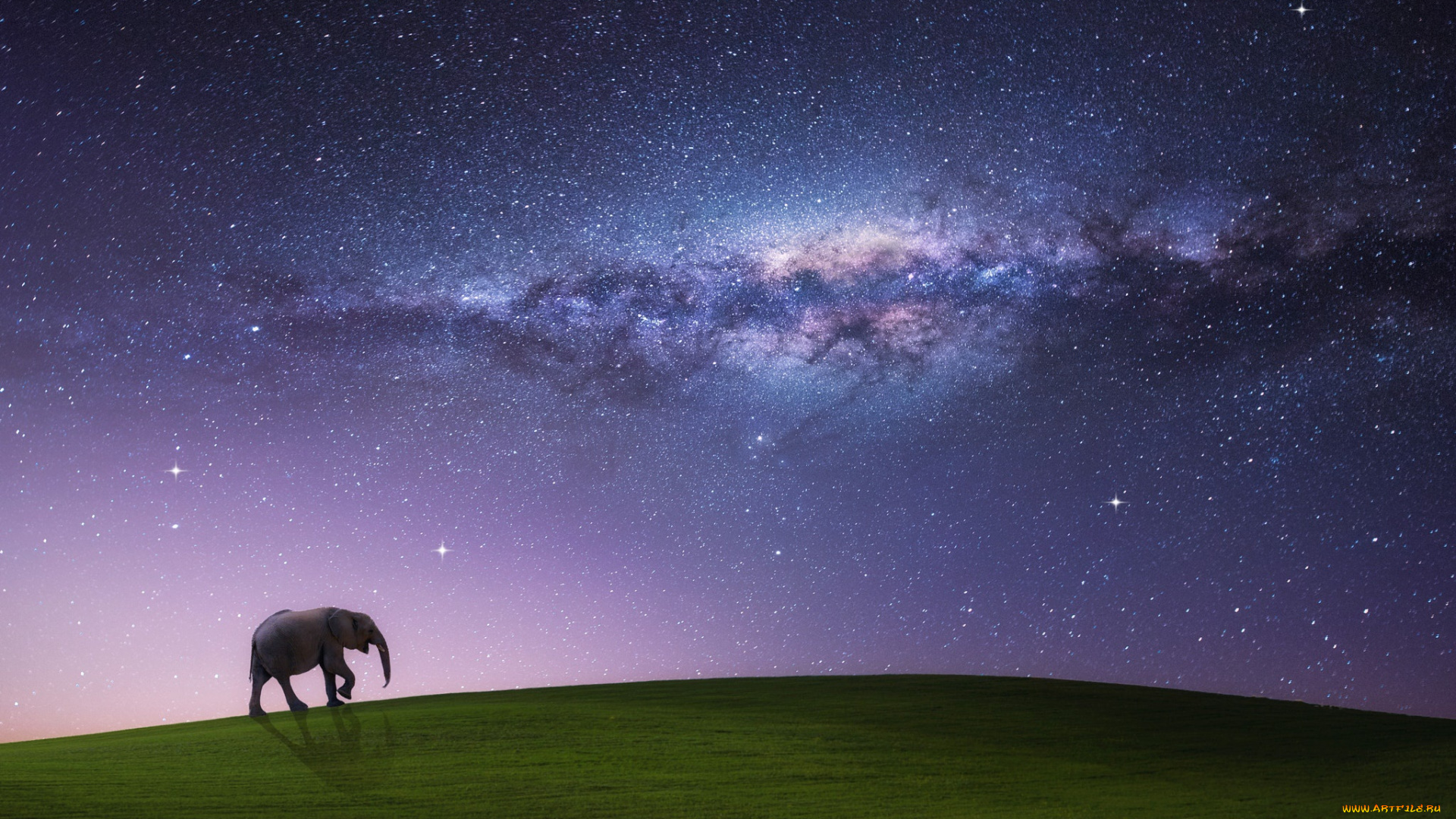 разное, компьютерный, дизайн, небо, звезды, сон, ночь, поле, млечный, путь, шагающий, слон