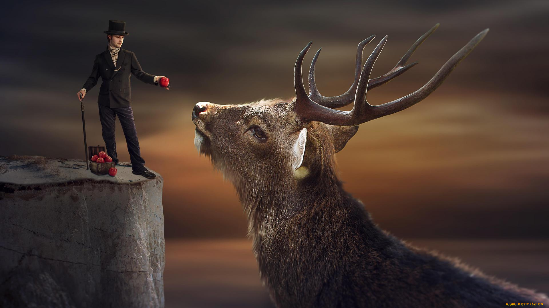 разное, компьютерный, дизайн, парень, яблоки, олень