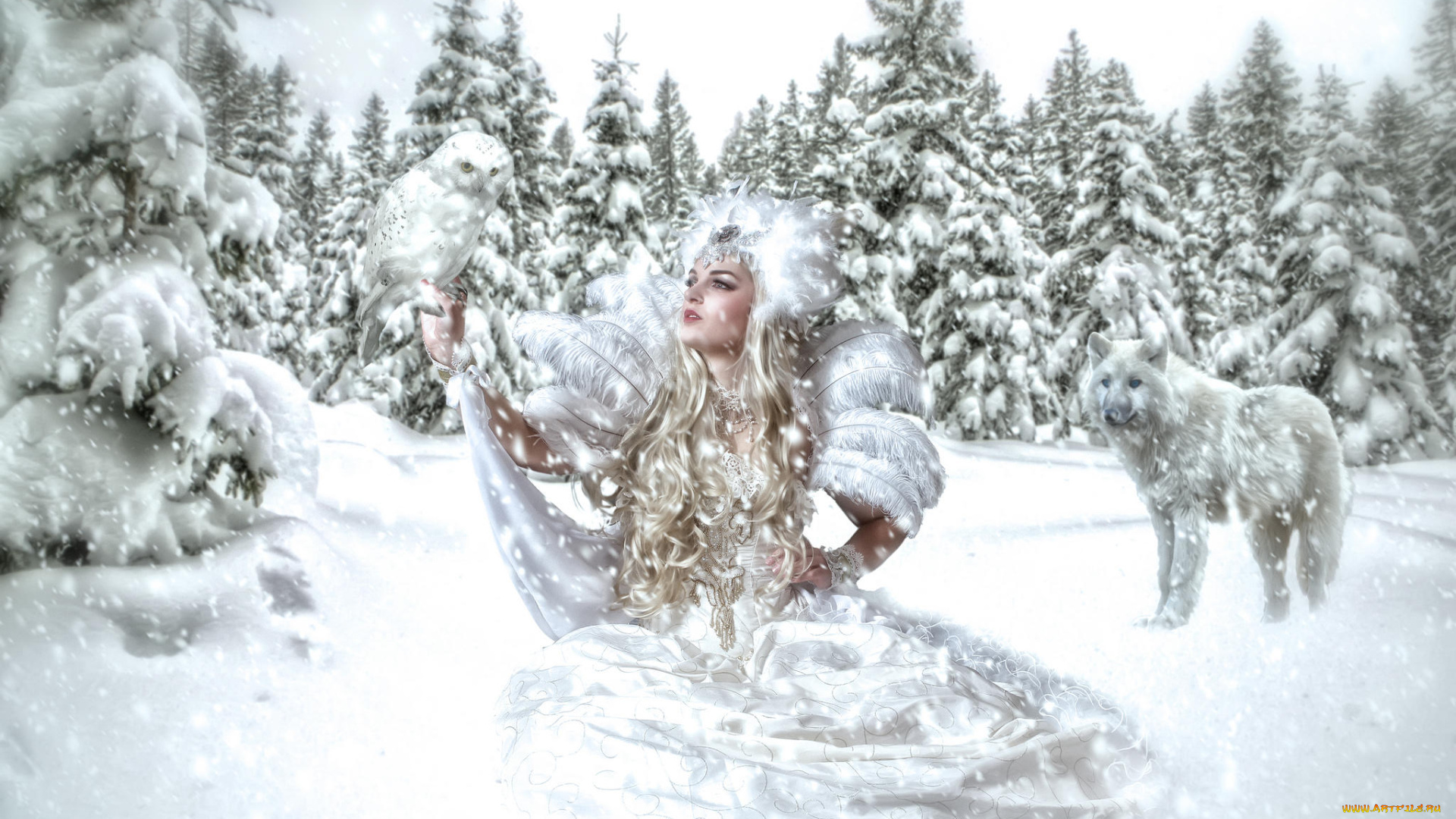 разное, компьютерный, дизайн, зима, девушка, снежная, королева, волк