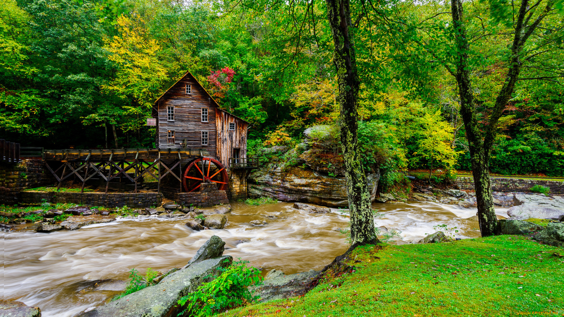 разное, мельницы, лес, река