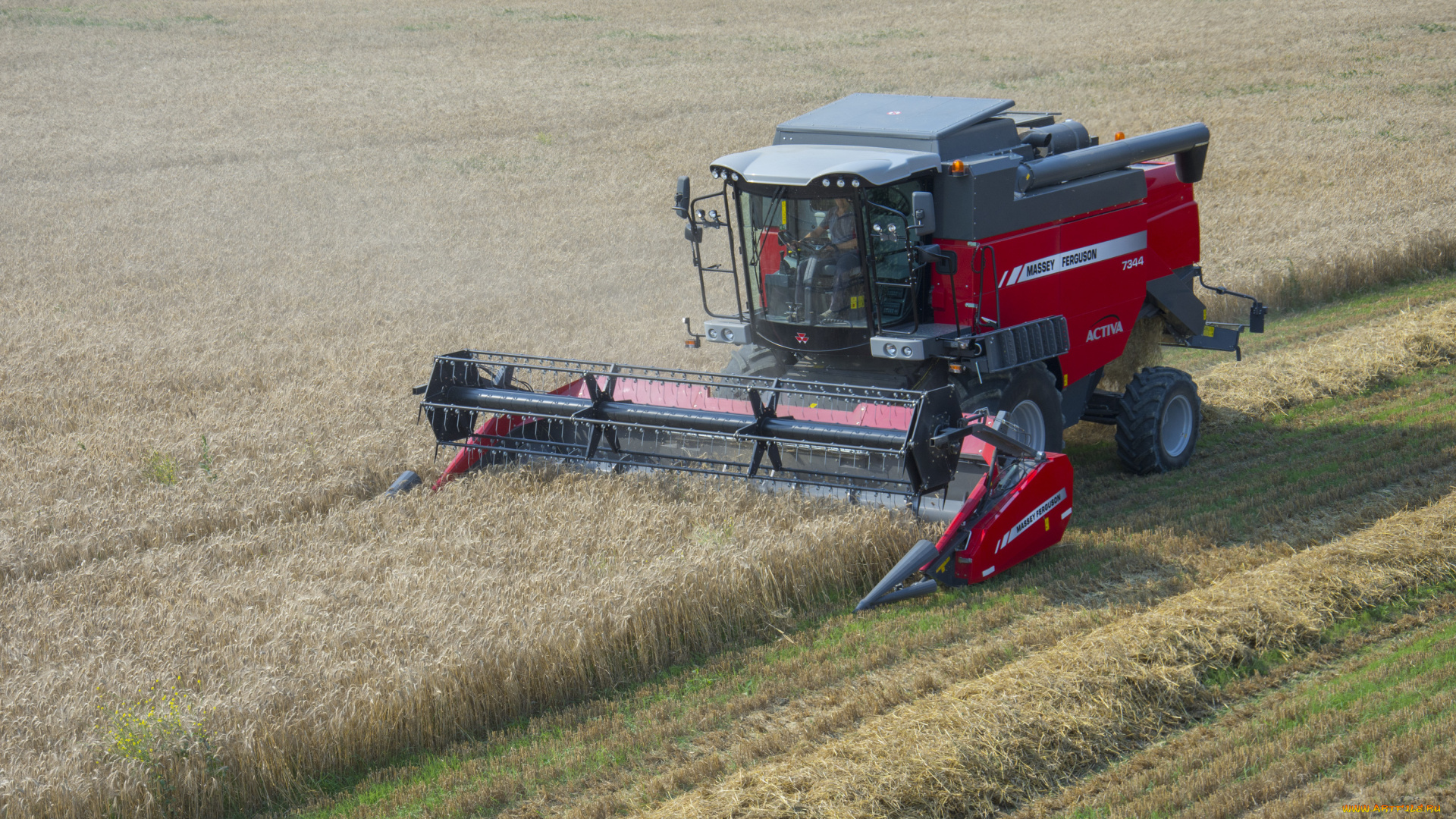 техника, комбайны, massey, ferguson