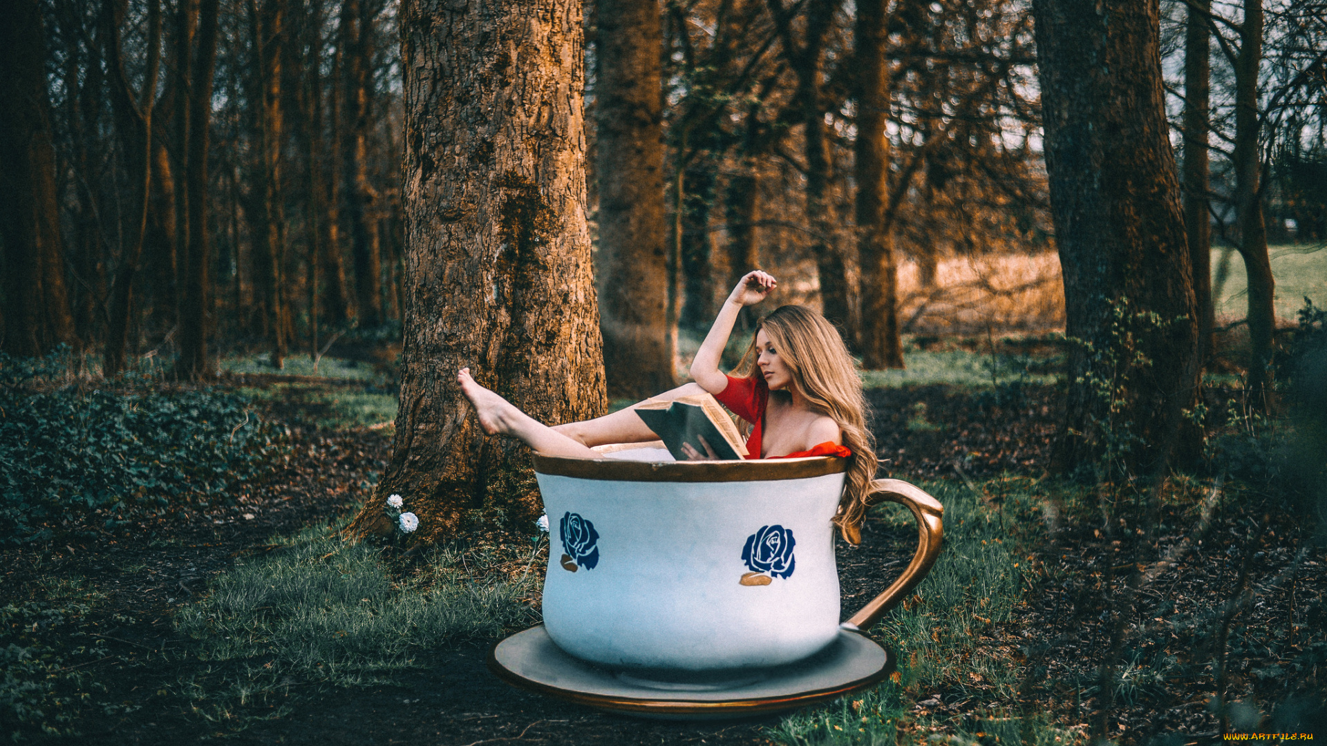 юмор, и, приколы, чашка, лес, девушка, книга