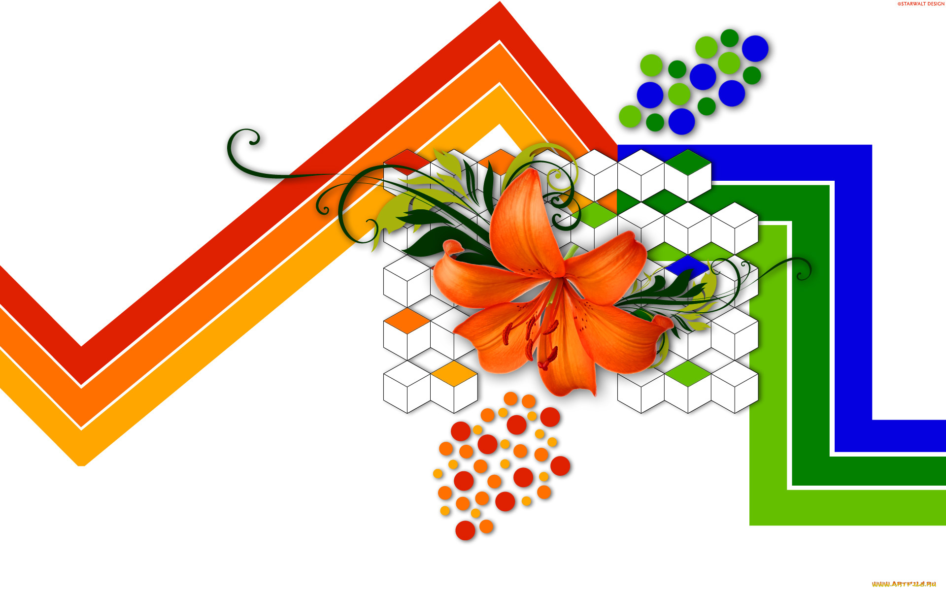 разное, компьютерный, дизайн, лилия