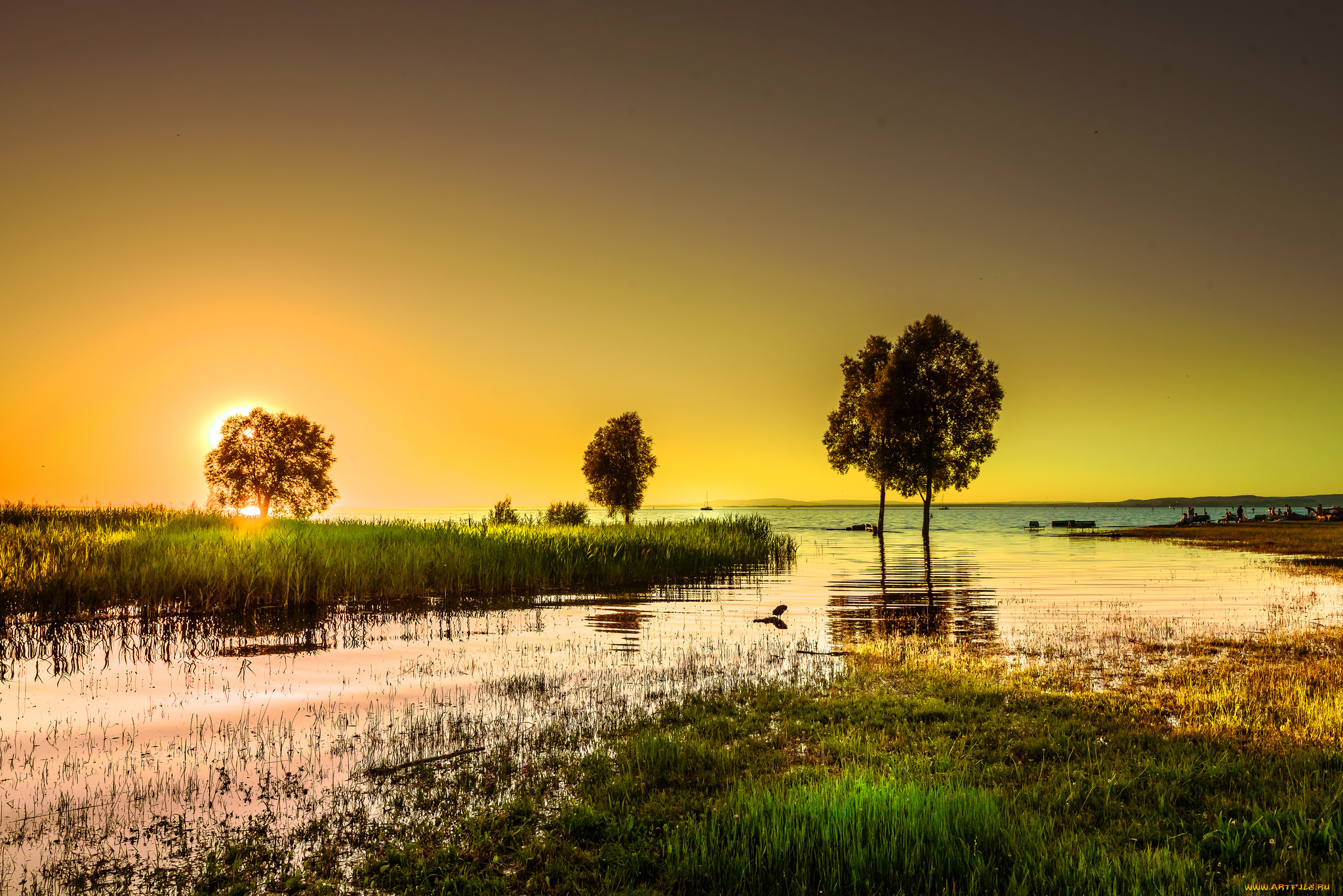 природа, реки, озера, простор