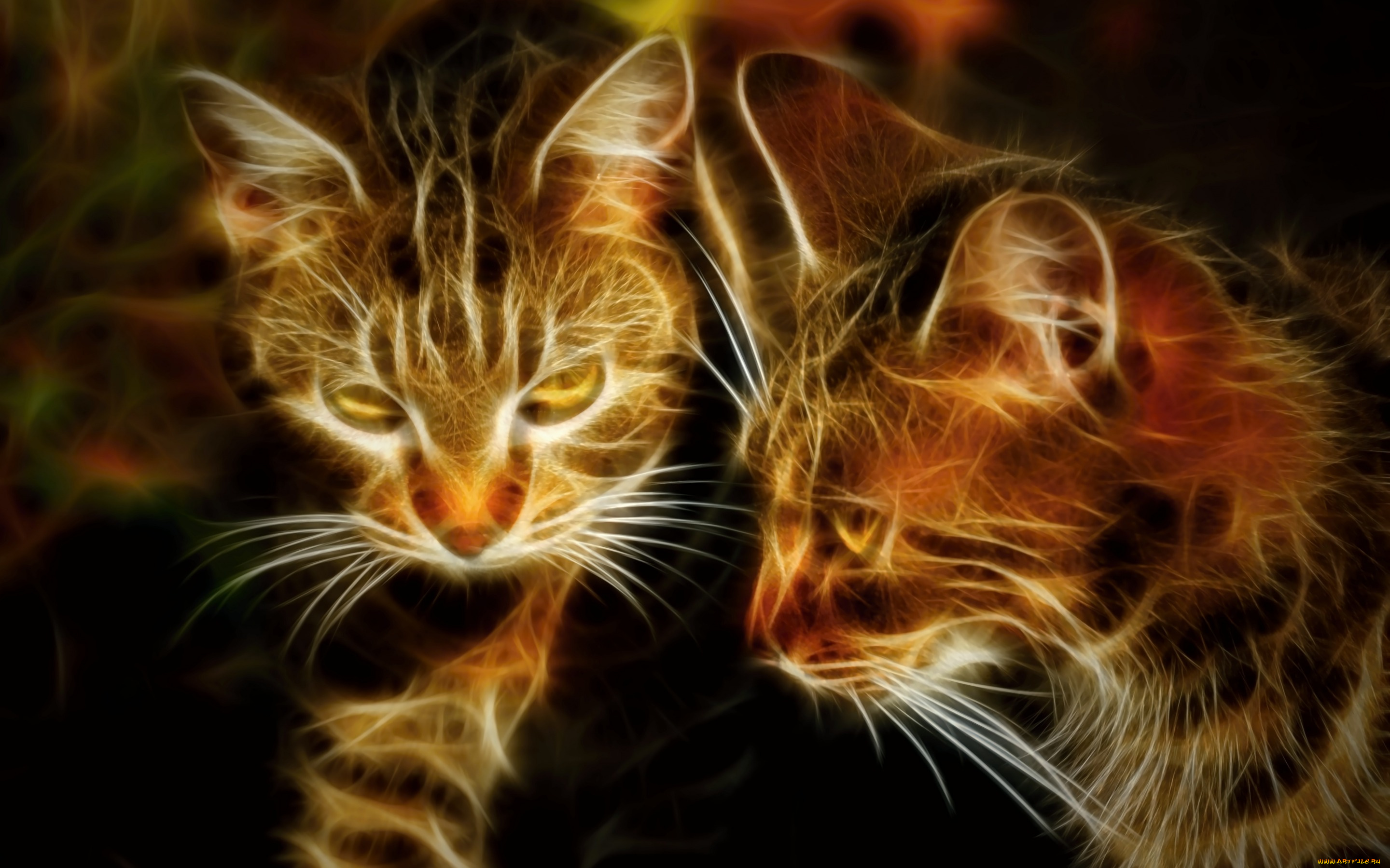 разное, компьютерный, дизайн, кошки, ретушь