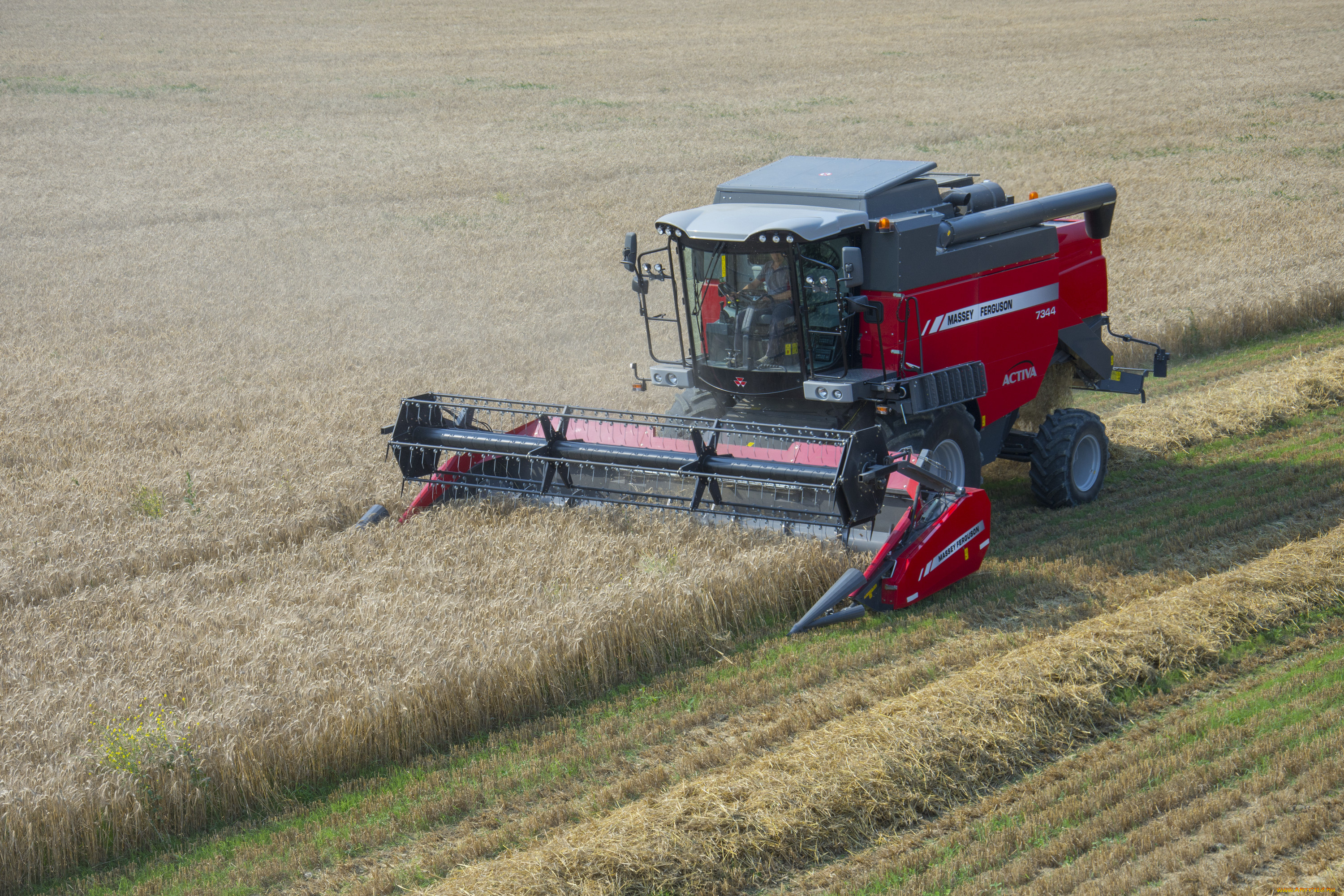 техника, комбайны, massey, ferguson