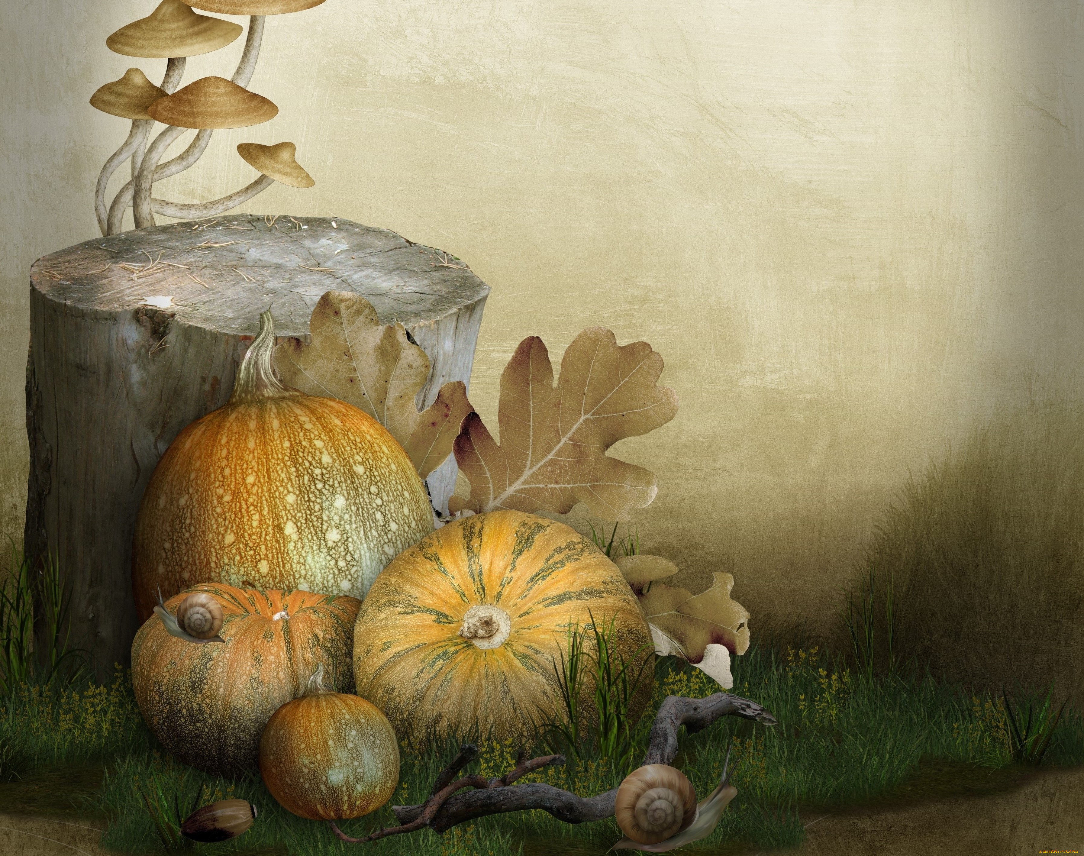 разное, компьютерный, дизайн, грибы, пень, улитки, тыквы