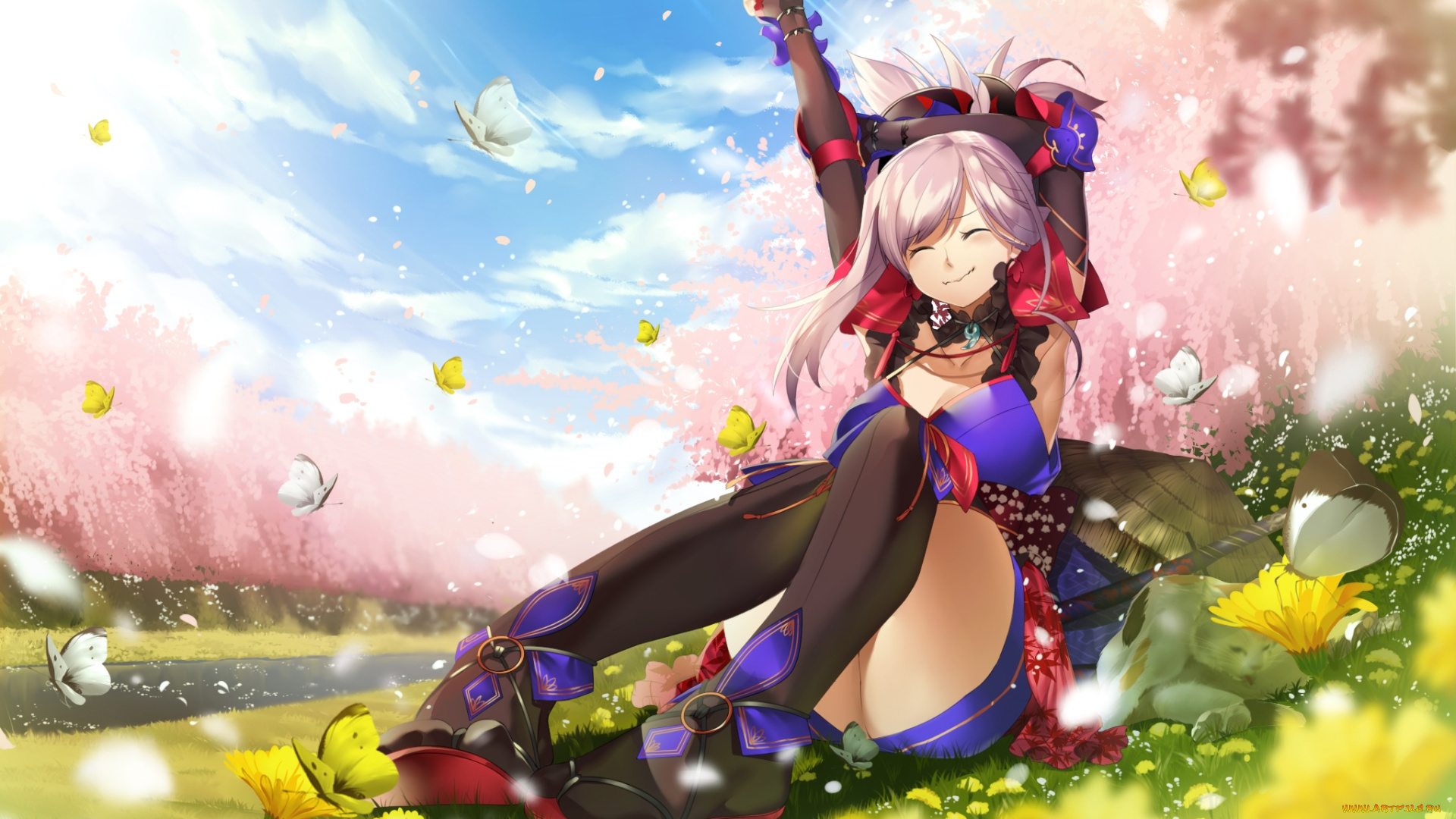 аниме, fate, stay, night, hamada, pochiwo, miyamoto, musashi, grand, order