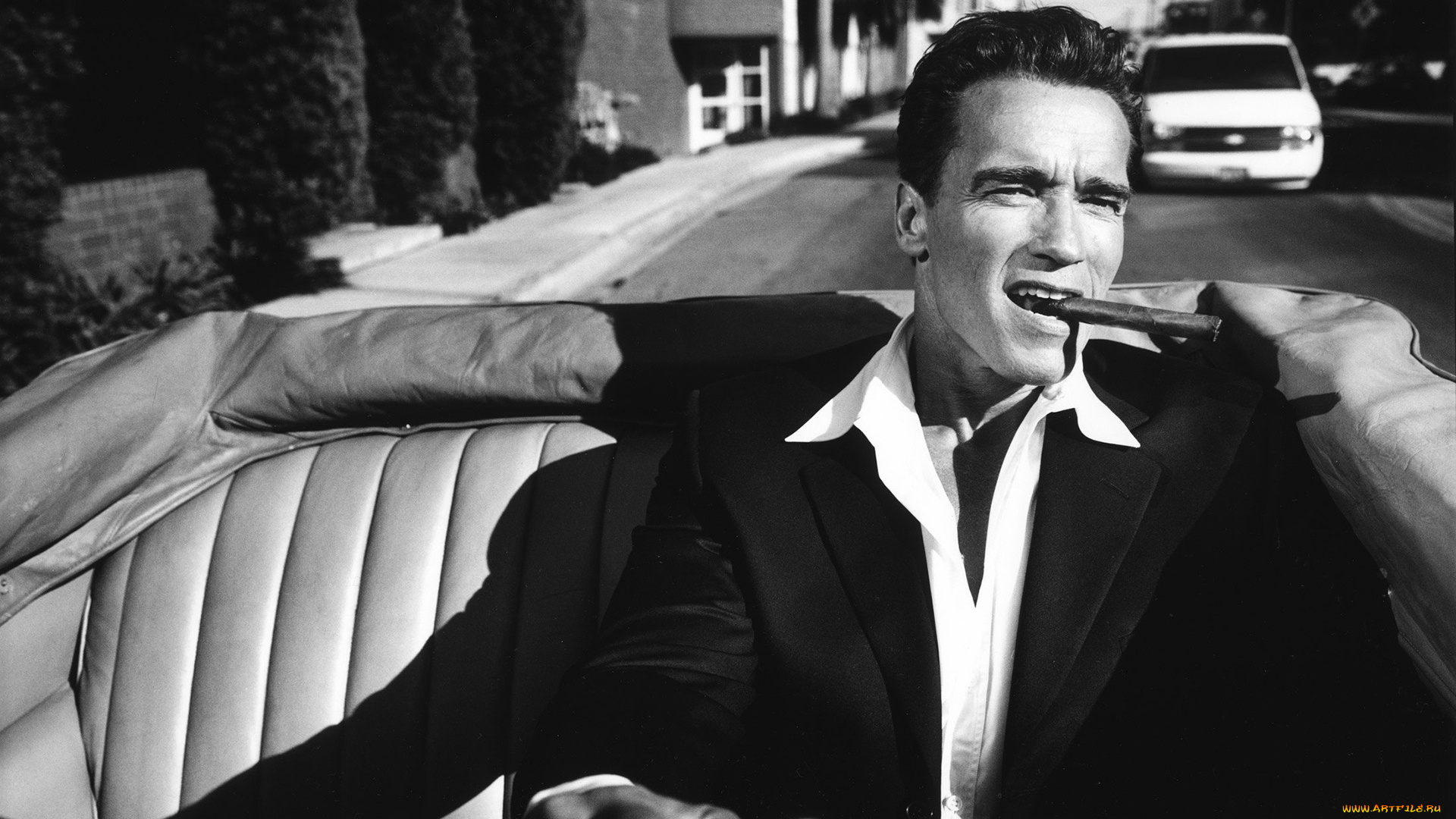 арнольд, шварценеггер, мужчины, arnold, schwarzenegger, monochrome, suits, shadow, сabrio, черно-белое, cigars, arnold, schwarzenegger, vintage, car, актер, driving, культурист, политик