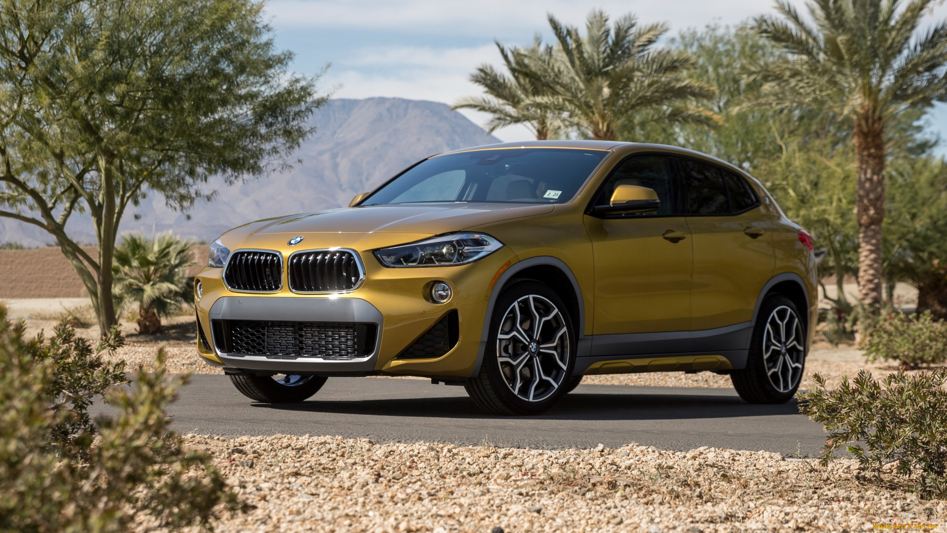 bmw, x2m, xdrive28i, , 2019, автомобили, bmw, немецкий, автомобиль, x2m, sport, x, кроссовер, compact, crossover, xdrive28i