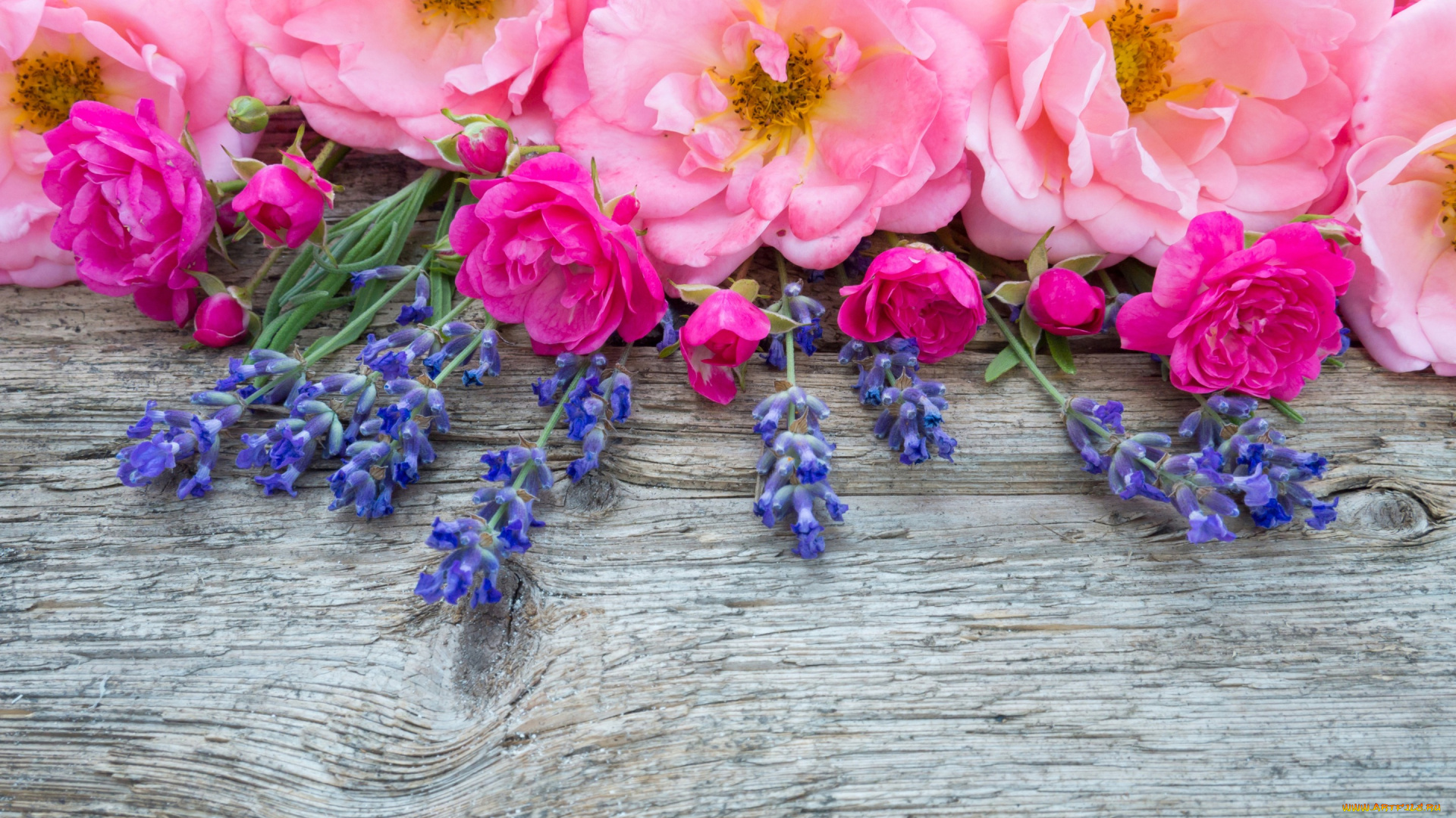 цветы, букеты, , композиции, бутоны, розовые, wood, pink, лаванда, bud, flowers