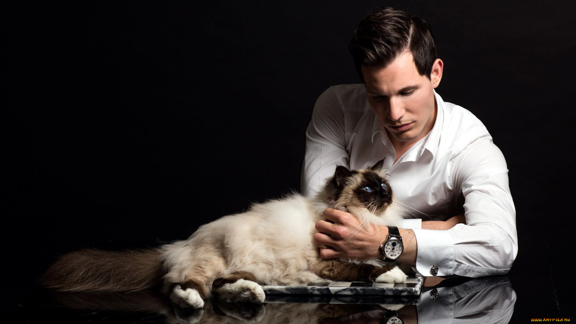 мужчины, -, unsort, кот, часы, мужчина, отражение
