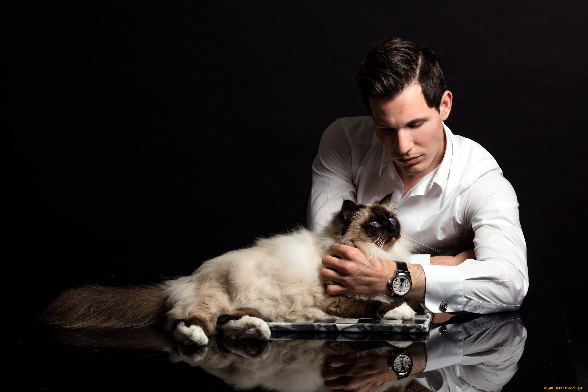 мужчины, -, unsort, кот, часы, мужчина, отражение