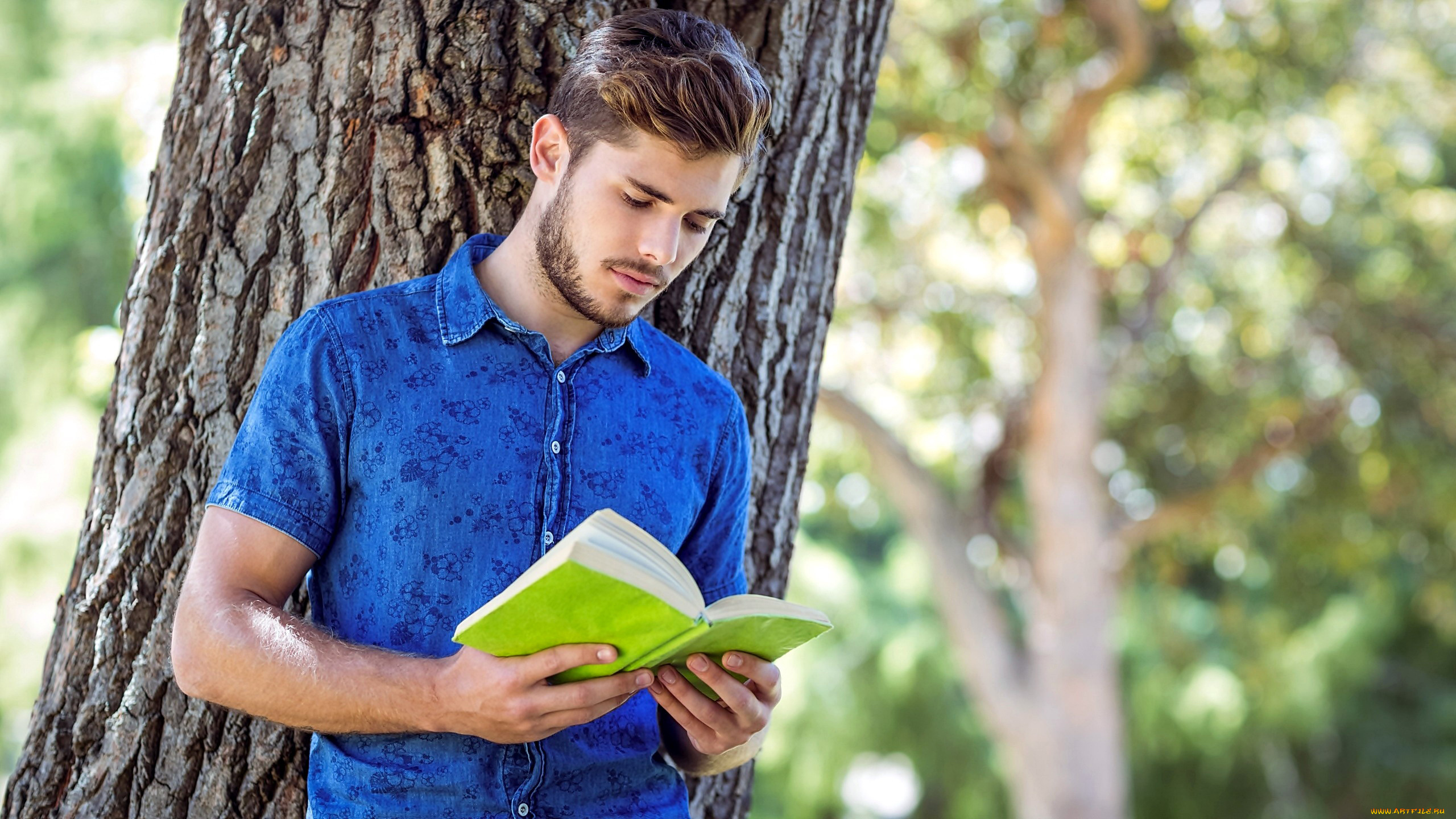 мужчины, -, unsort, чтение, книга