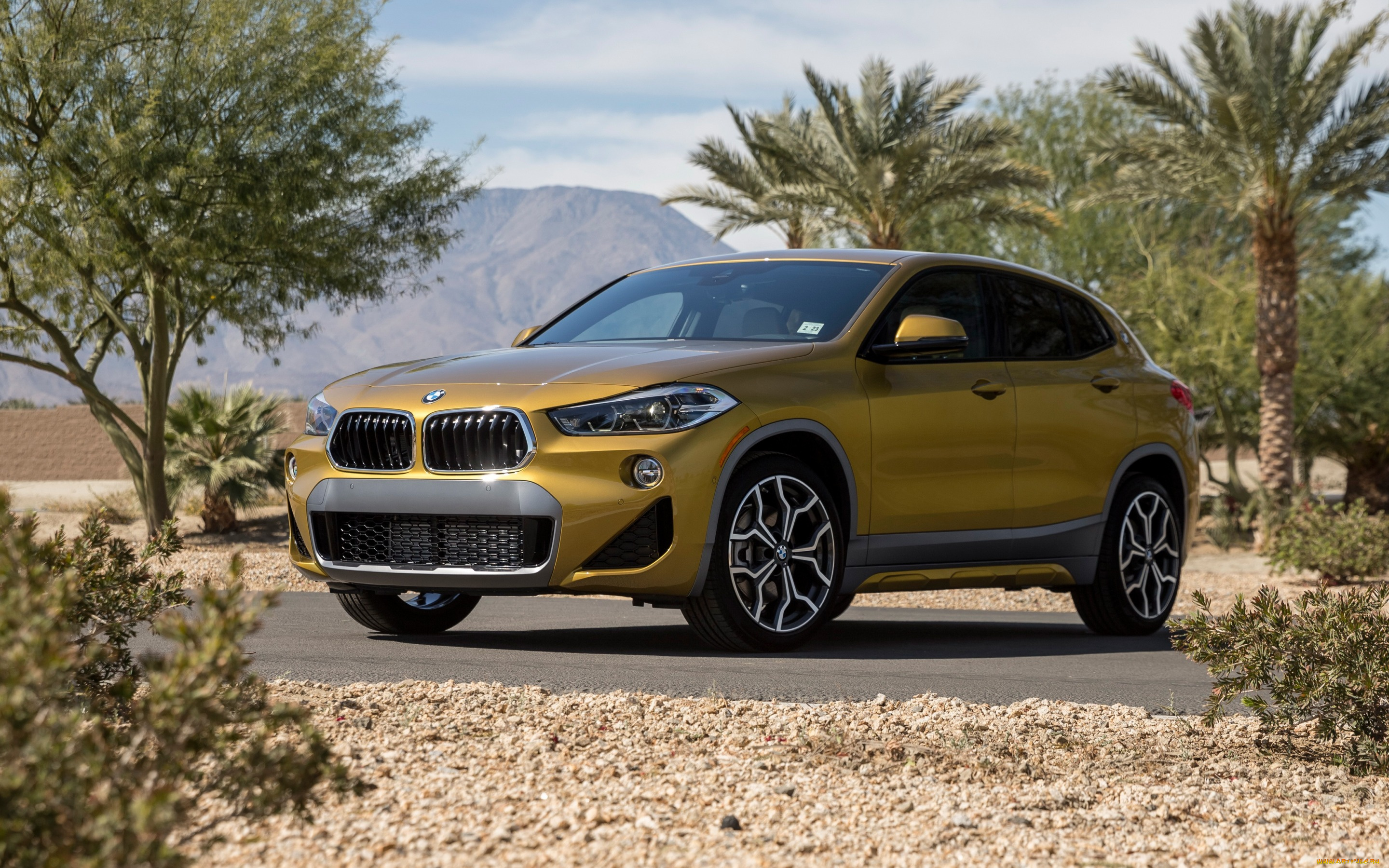 bmw, x2m, xdrive28i, , 2019, автомобили, bmw, немецкий, автомобиль, x2m, sport, x, кроссовер, compact, crossover, xdrive28i