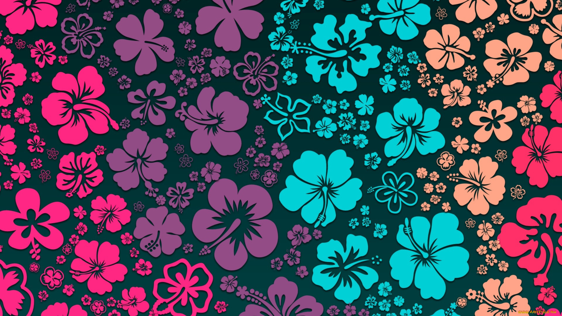 векторная, графика, цветы, , flowers, цветы