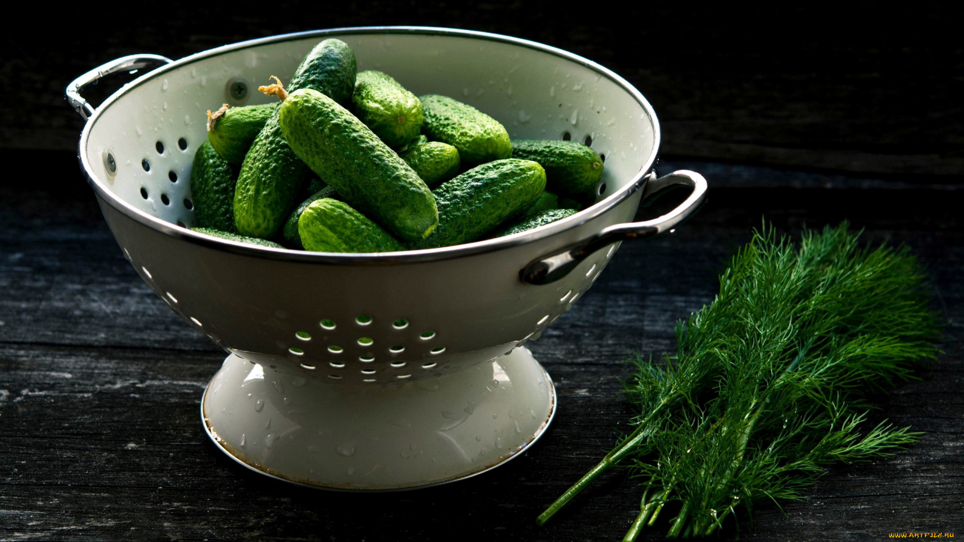еда, огурцы, укроп, свежие