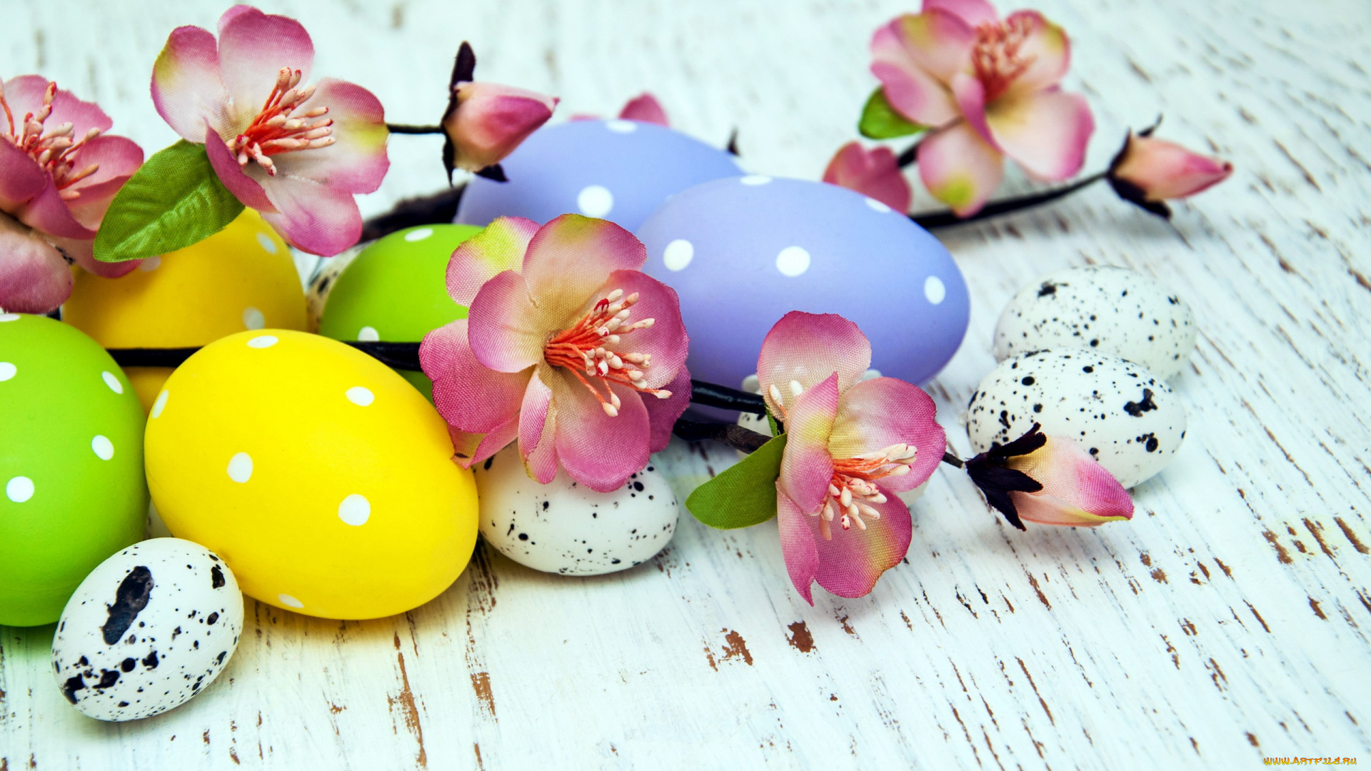 праздничные, пасха, писанки