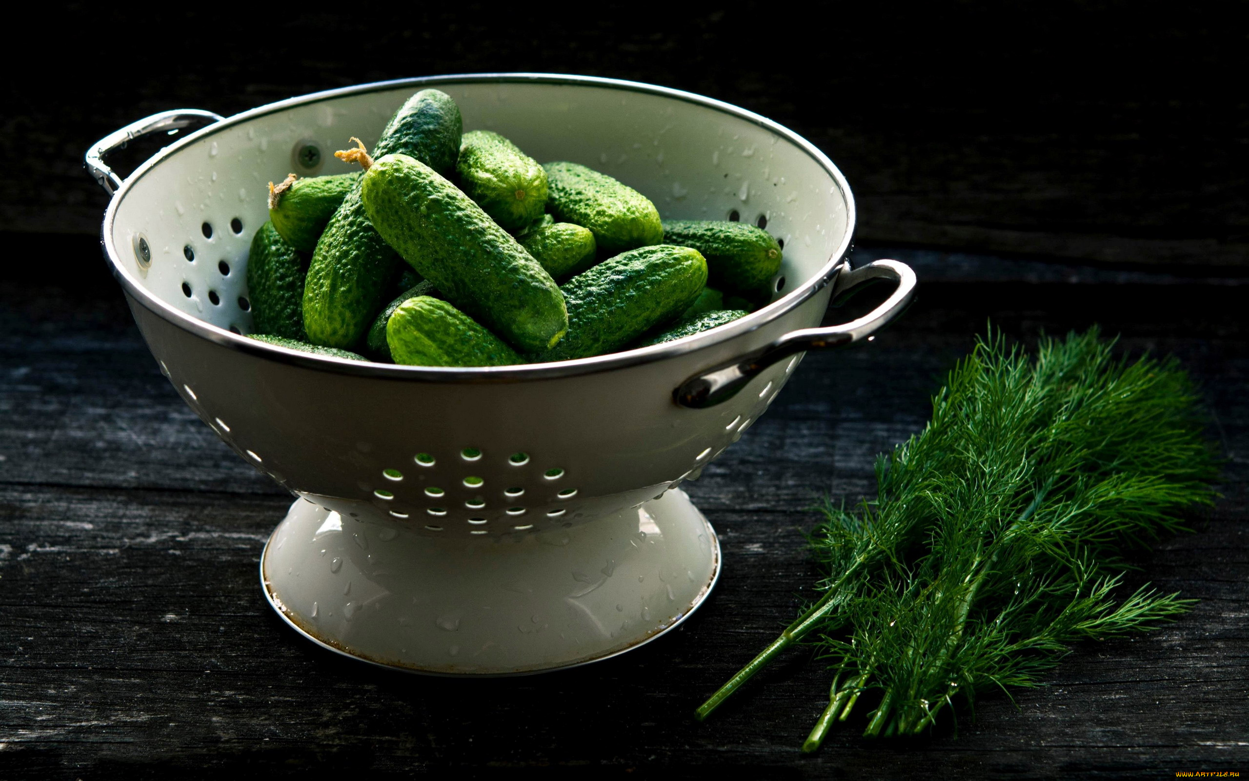 еда, огурцы, укроп, свежие